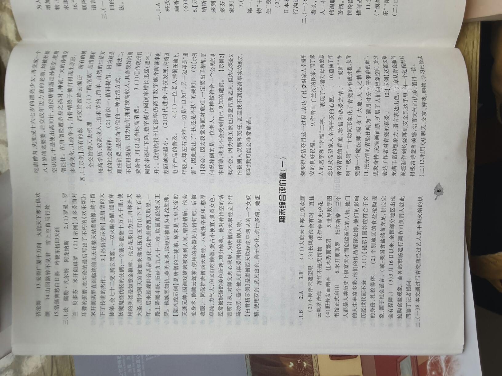 2014年基礎(chǔ)訓(xùn)練八年級(jí)語(yǔ)文下冊(cè)人教版 第283頁(yè)