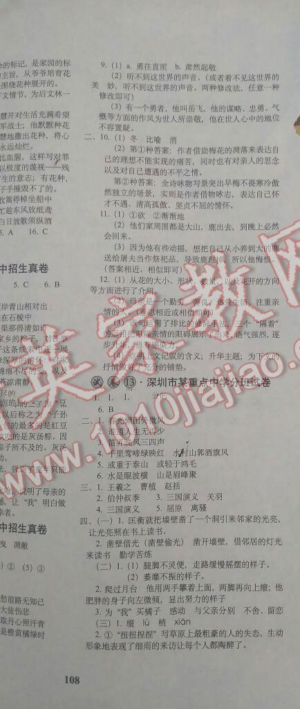 2016年小学毕业升学必备语文 第18页