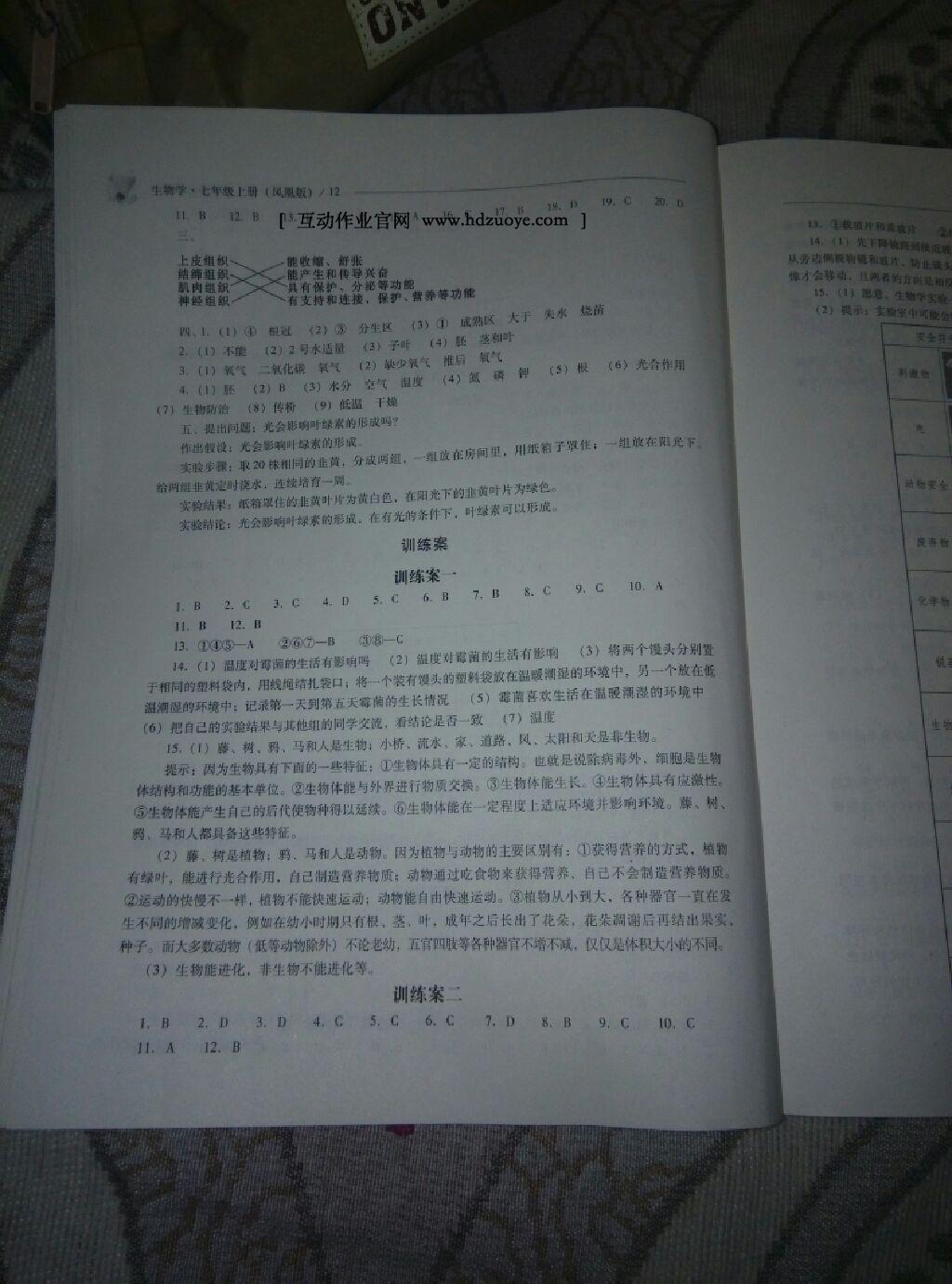 2015年新課程問題解決導(dǎo)學(xué)方案七年級(jí)生物學(xué)上冊(cè)人教版 第32頁(yè)