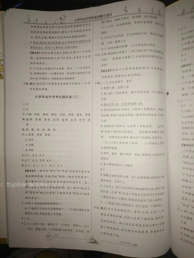 小学毕业升学系统总复习语文 第63页