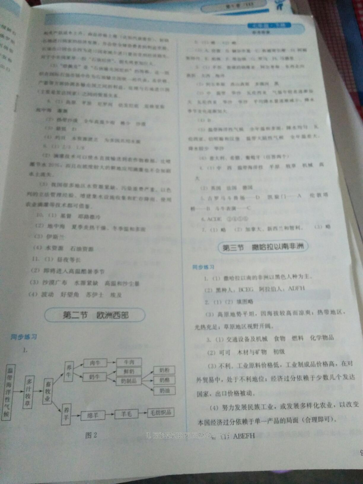 2016年人教金学典同步解析与测评七年级地理下册人教版 第23页