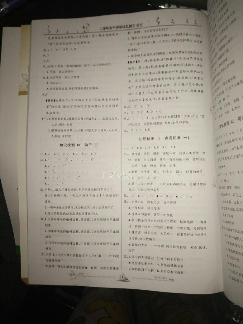 小学毕业升学系统总复习语文 第51页