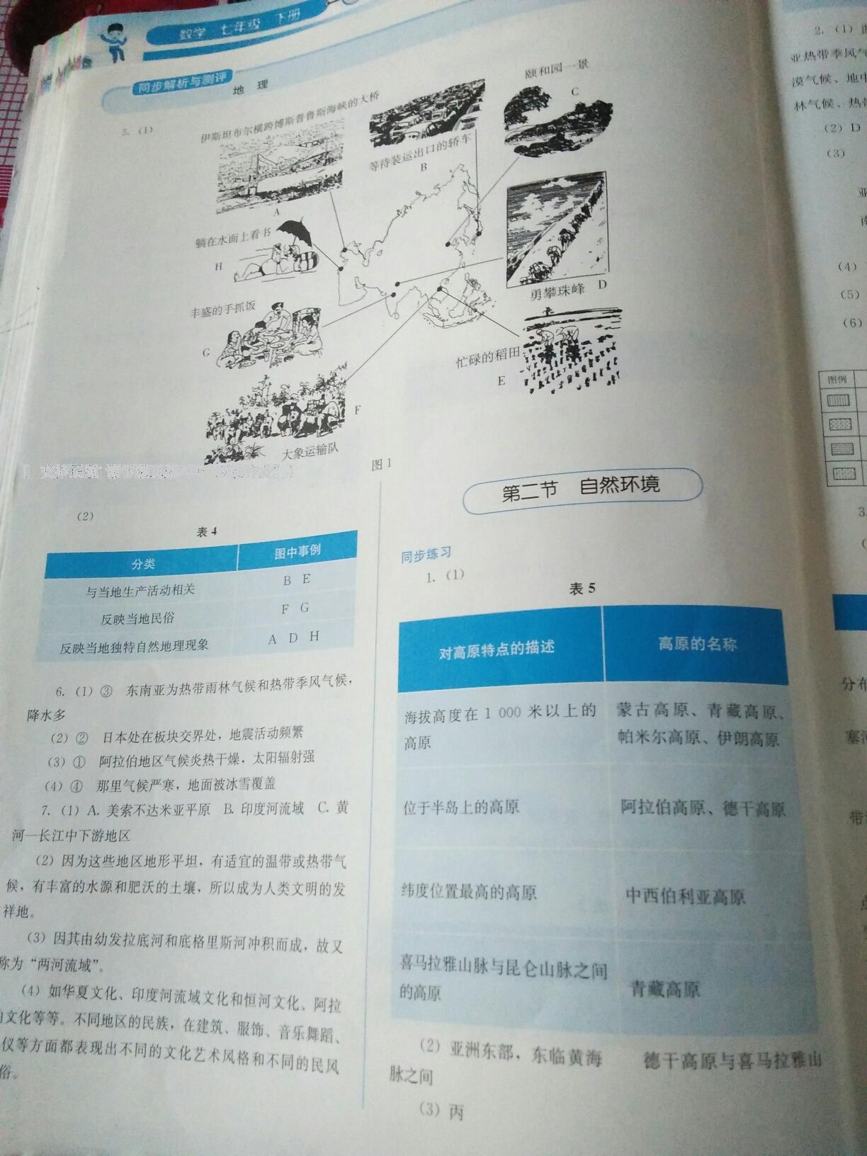 2016年人教金學典同步解析與測評七年級地理下冊人教版 第16頁