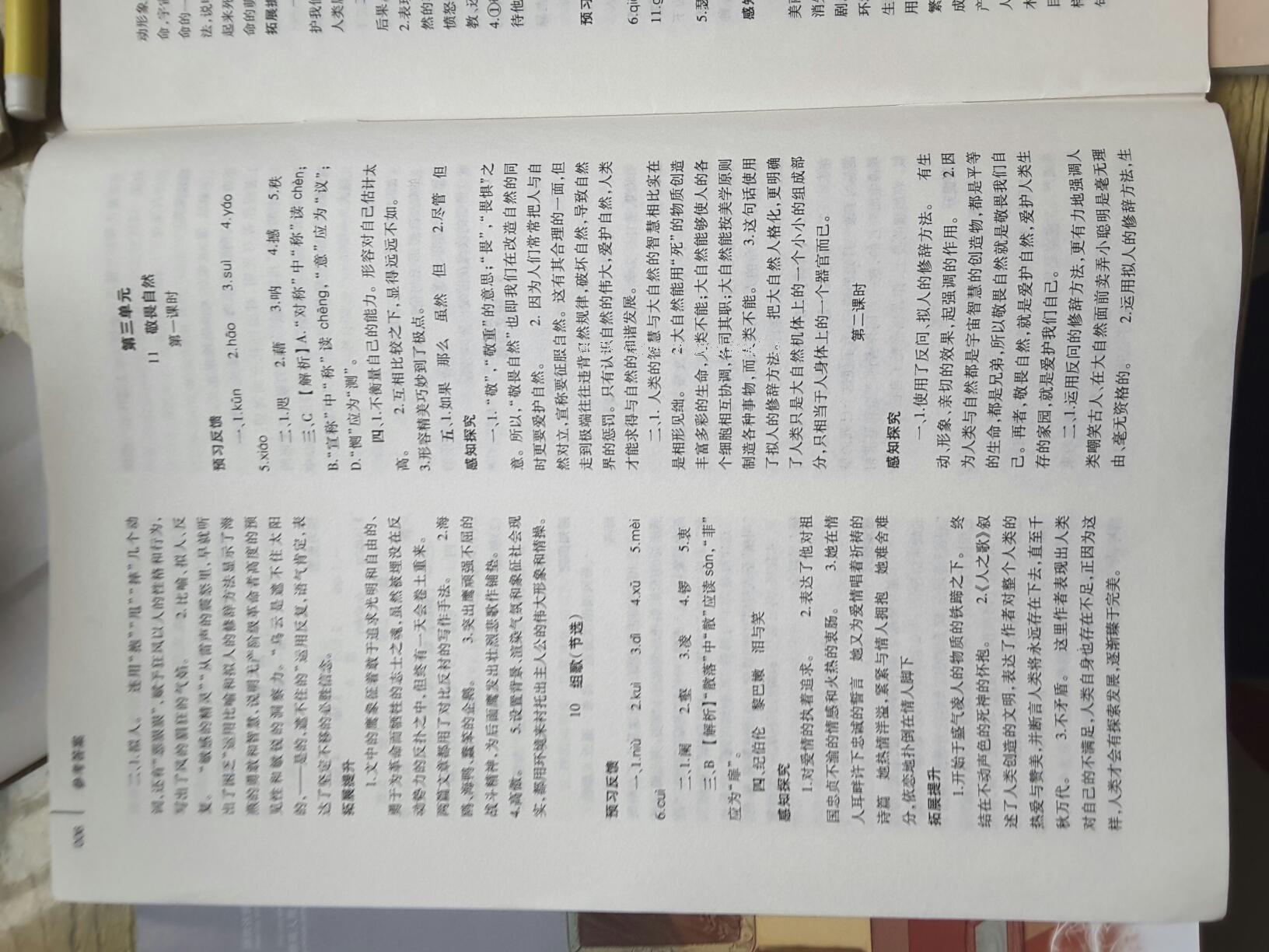 2014年基礎(chǔ)訓(xùn)練八年級語文下冊人教版 第262頁