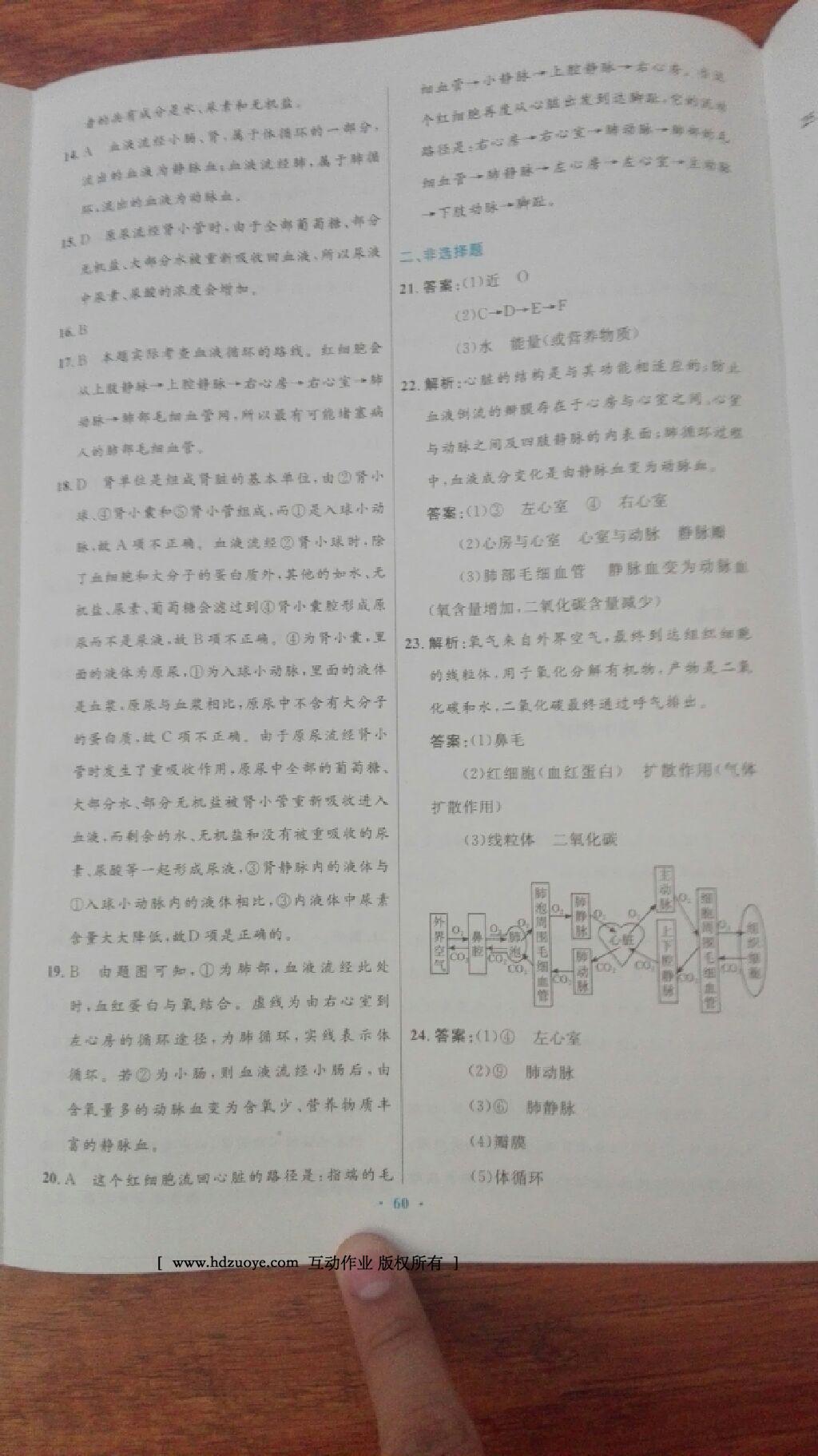 2016年初中同步测控优化设计七年级生物学下册人教版 第60页