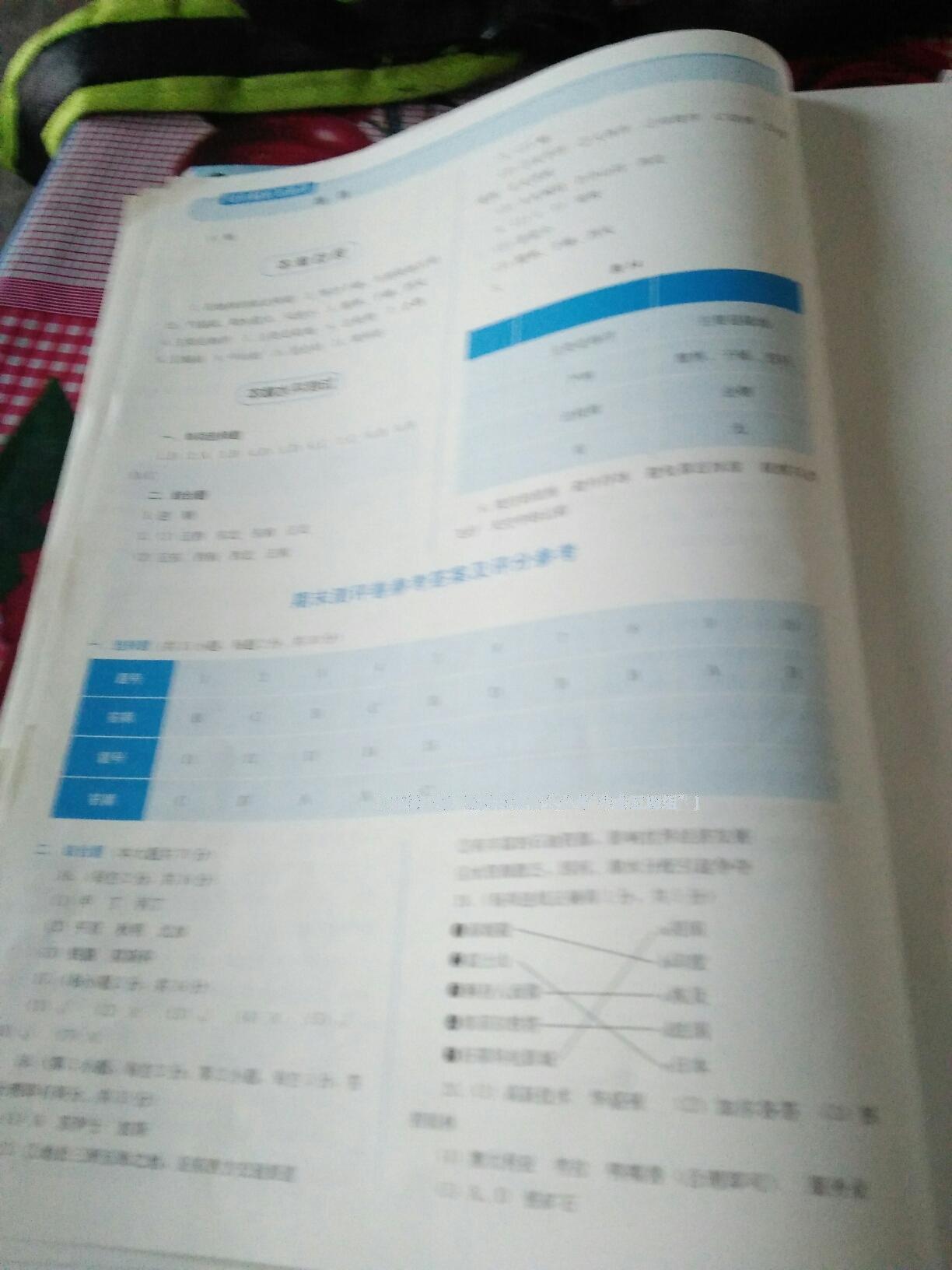 2016年人教金學典同步解析與測評七年級地理下冊人教版 第28頁