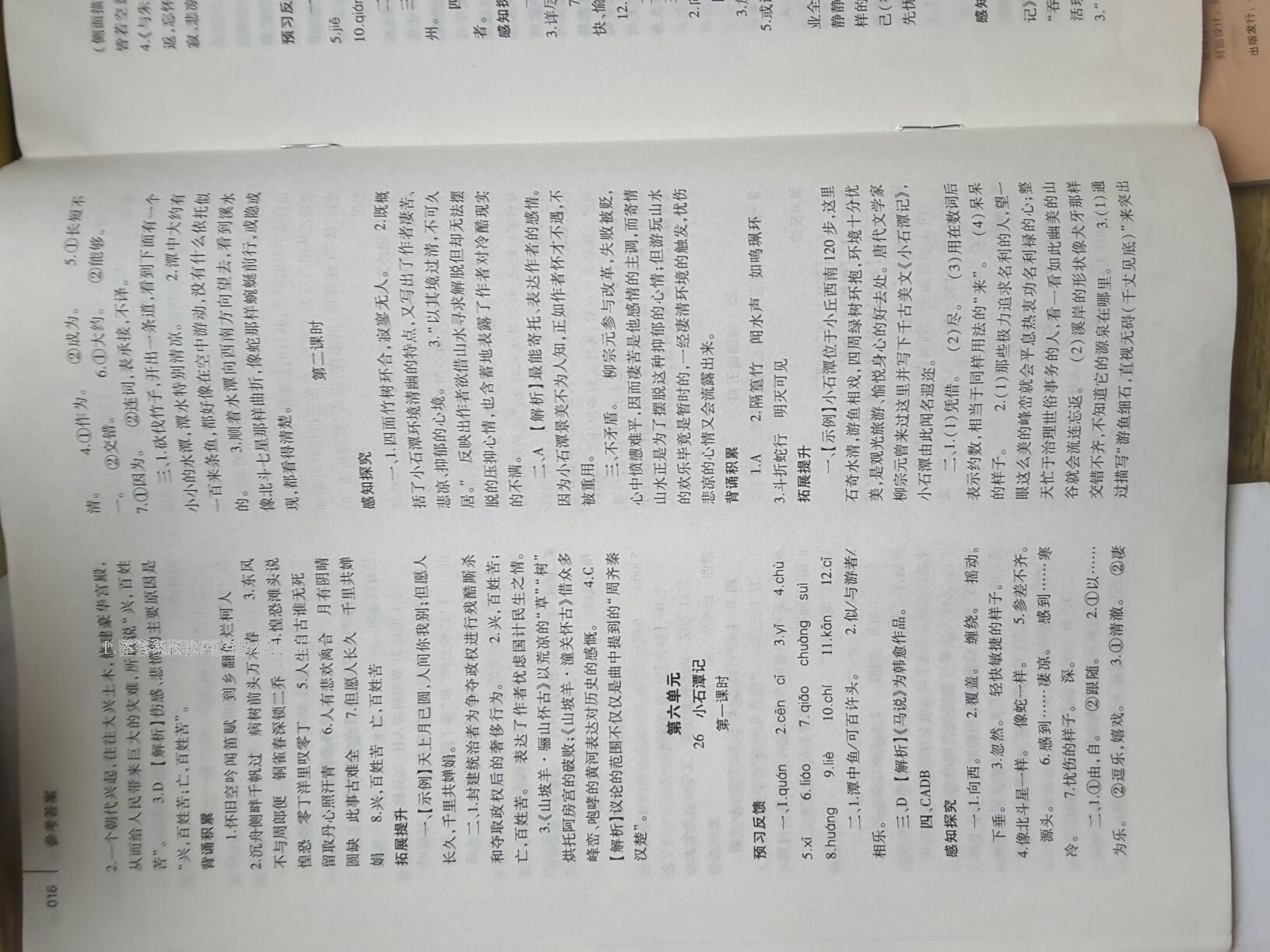 2014年基礎(chǔ)訓(xùn)練八年級(jí)語(yǔ)文下冊(cè)人教版 第272頁(yè)