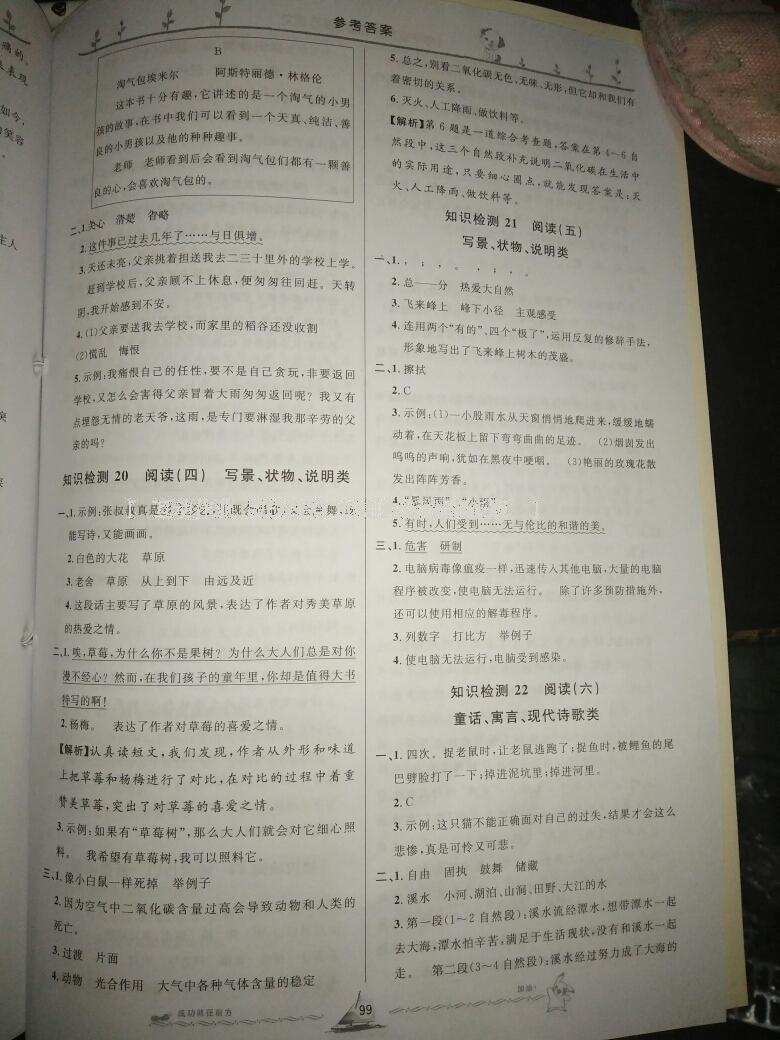 小学毕业升学系统总复习语文 第56页