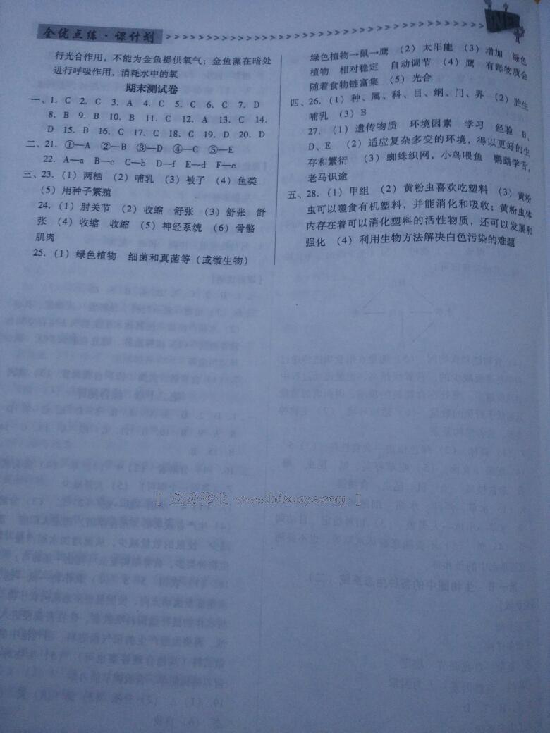 2016年全優(yōu)點(diǎn)練課計(jì)劃七年級(jí)生物下冊(cè)蘇教版 第14頁(yè)