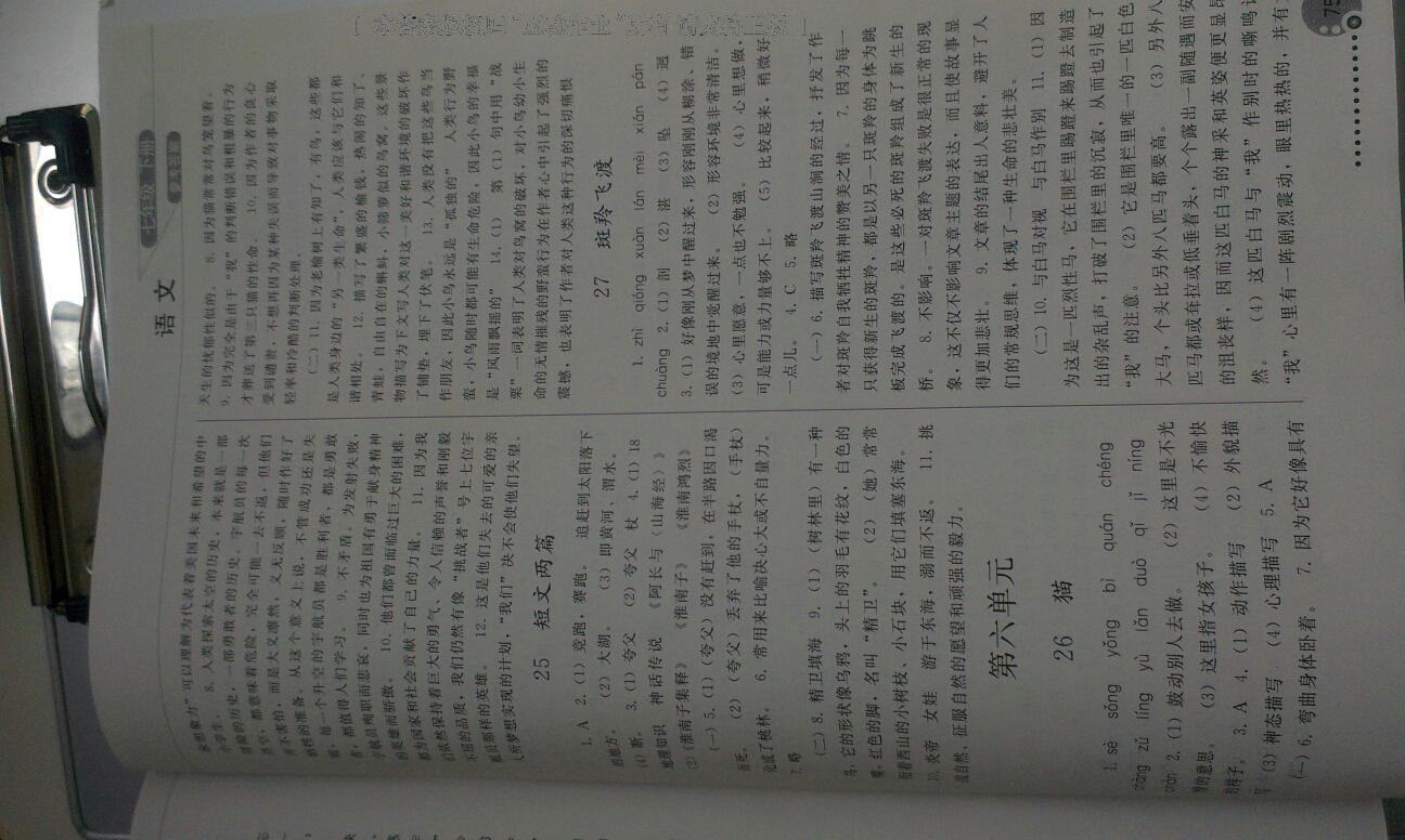 2016年同步练习册人民教育出版社七年级语文下册人教版 第125页