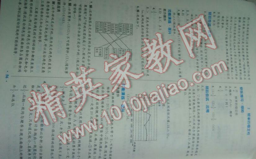 2016年伴你学七年级数学下册北师大版北京师范大学出版社 第31页