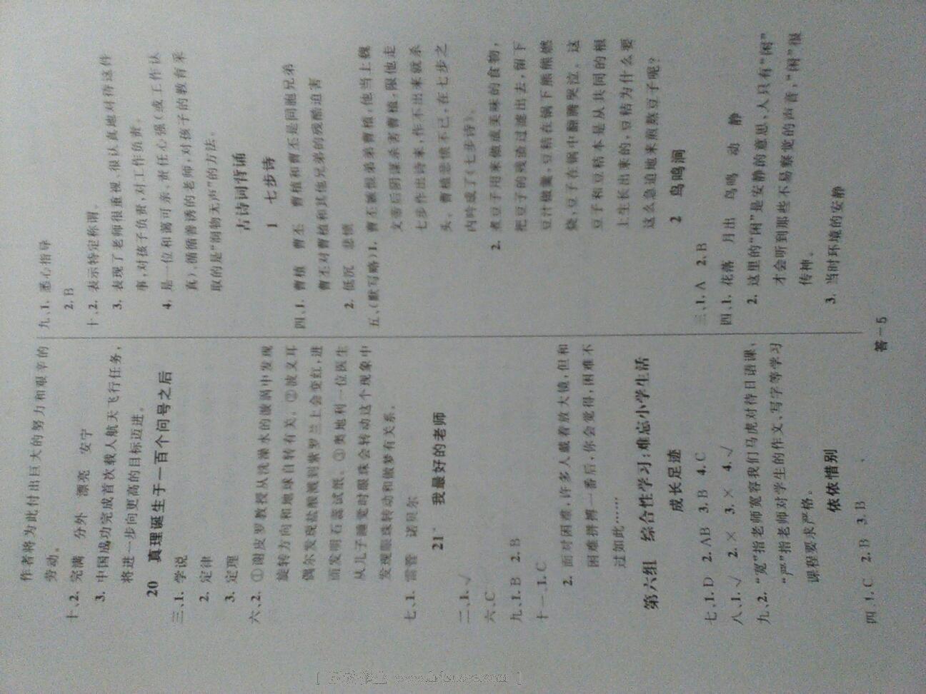 2015年領(lǐng)航新課標(biāo)語文練習(xí)冊六年級下冊人教版 第13頁