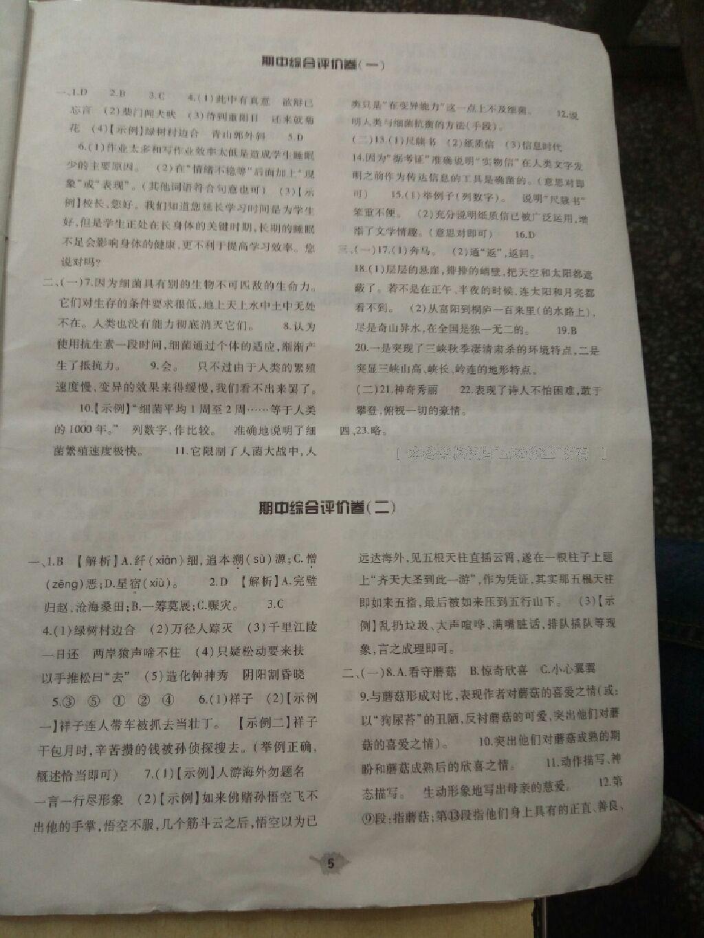 2016年基礎(chǔ)訓(xùn)練八年級(jí)語文下冊北師大版河南省內(nèi)使用 第62頁