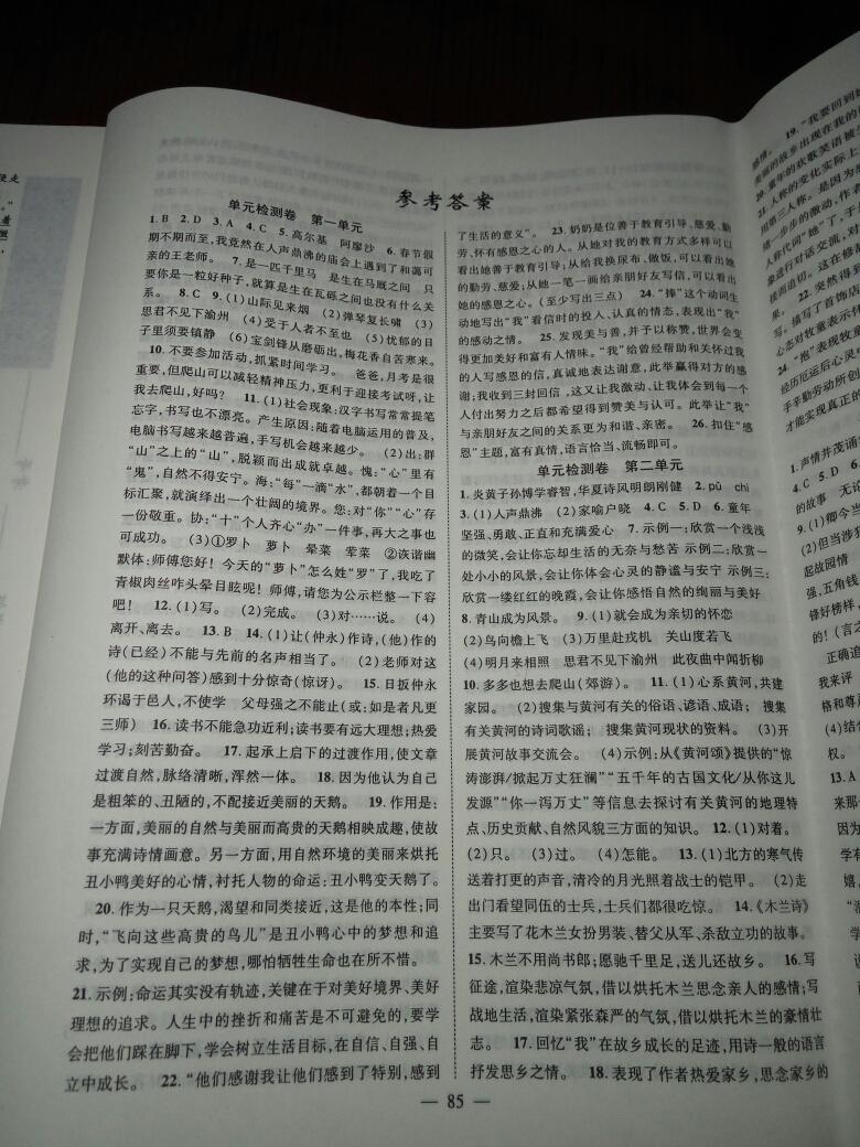 2016年新黄冈兵法密卷100分单元过关检测七年级语文下册人教版 第9页