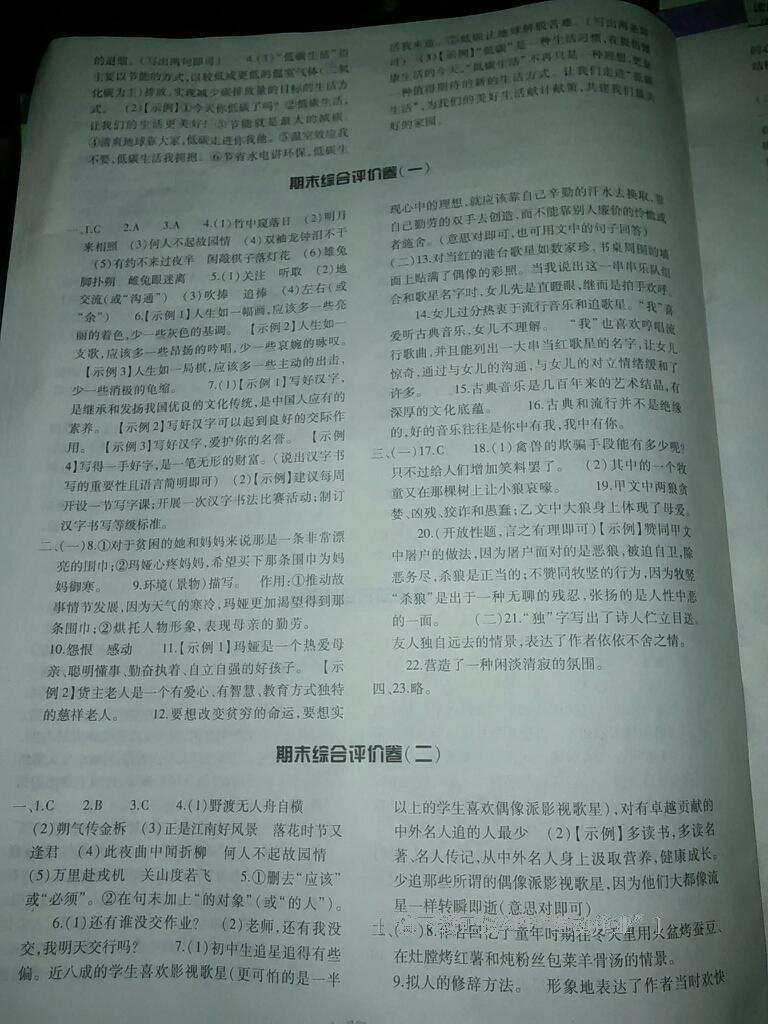 2015年基礎(chǔ)訓(xùn)練七年級語文下冊人教版僅限河南省使用大象出版社 第210頁