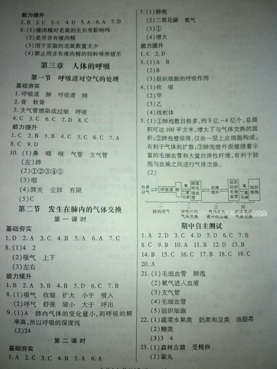 2016年一課一練創(chuàng)新練習(xí)七年級(jí)生物下冊(cè)人教版 第19頁