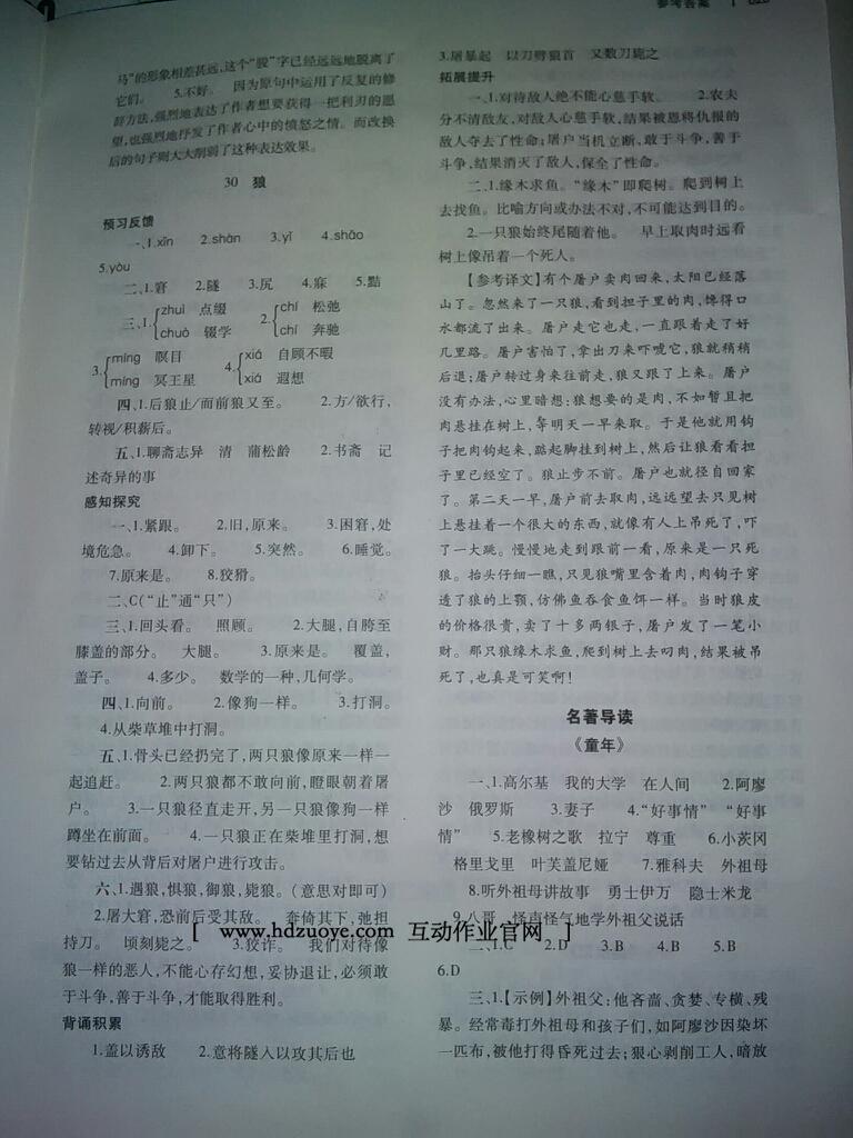 2015年基礎(chǔ)訓(xùn)練七年級(jí)語(yǔ)文下冊(cè)人教版僅限河南省使用大象出版社 第203頁(yè)