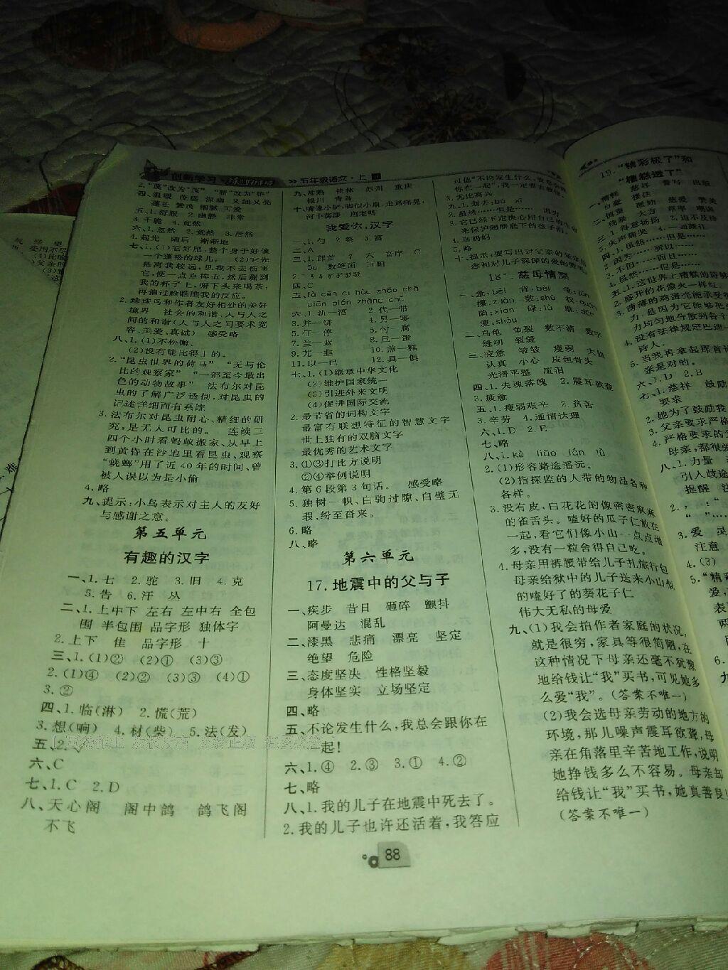 2015年練出好成績(jī)創(chuàng)新學(xué)習(xí)高效課時(shí)訓(xùn)練五年級(jí)語(yǔ)文下冊(cè)人教版 第14頁(yè)