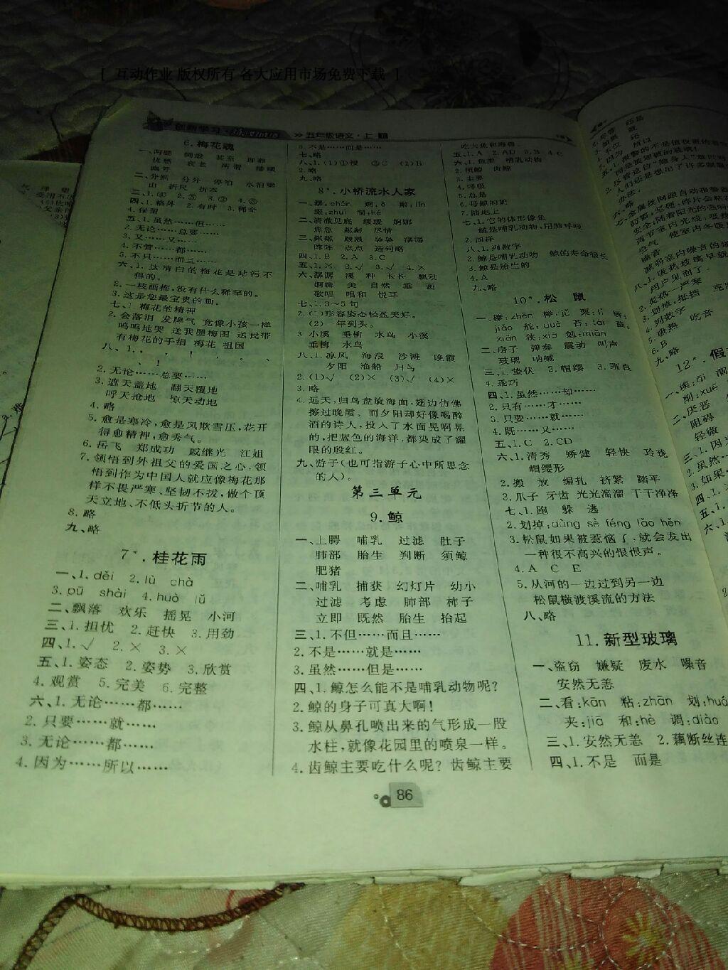 2015年練出好成績(jī)創(chuàng)新學(xué)習(xí)高效課時(shí)訓(xùn)練五年級(jí)語(yǔ)文下冊(cè)人教版 第12頁(yè)