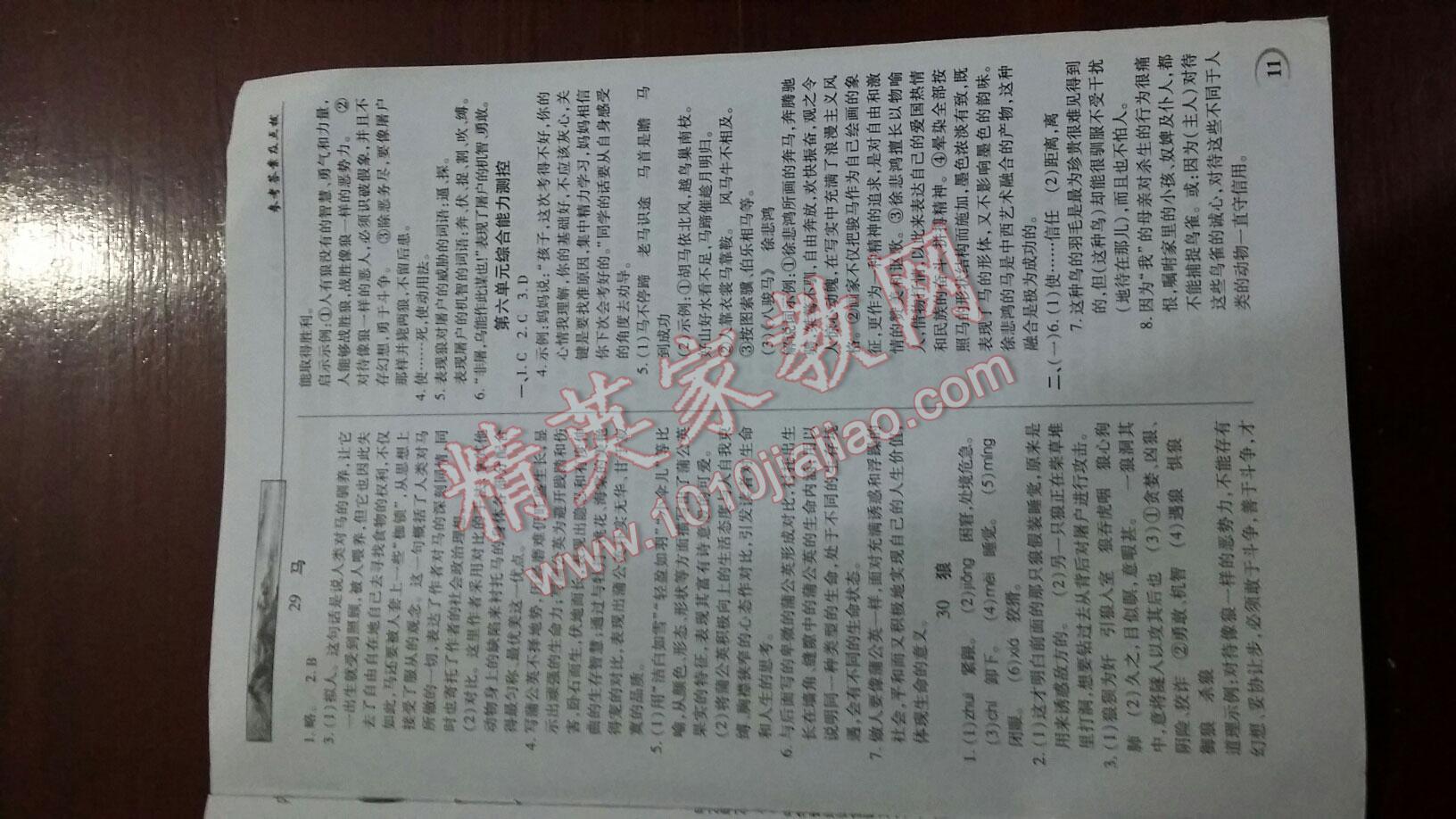 2015年英才教程中学奇迹课堂教材解析完全学习攻略七年级语文下册人教版 第11页