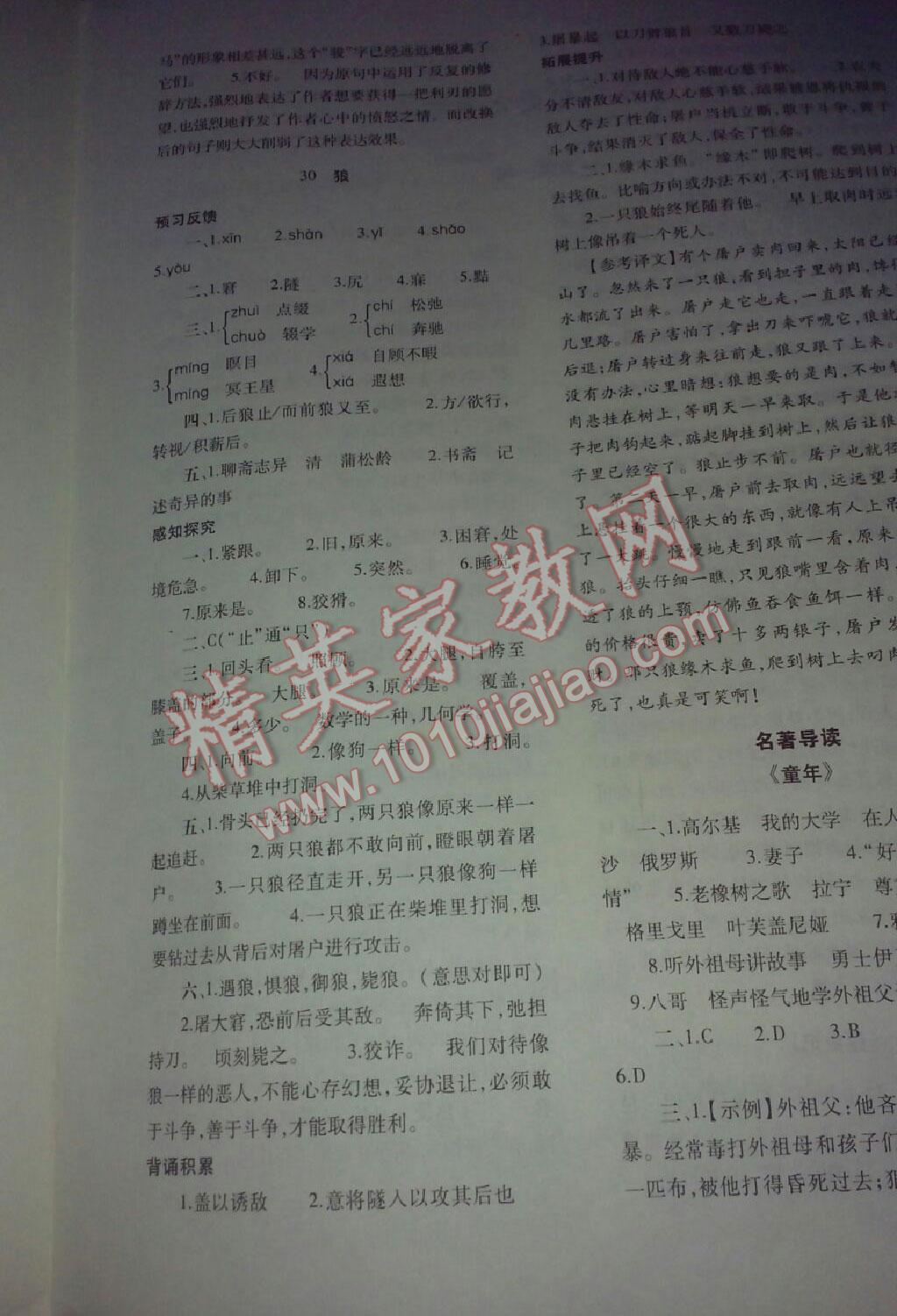 2015年基礎(chǔ)訓(xùn)練七年級(jí)語文下冊人教版僅限河南省使用大象出版社 第223頁