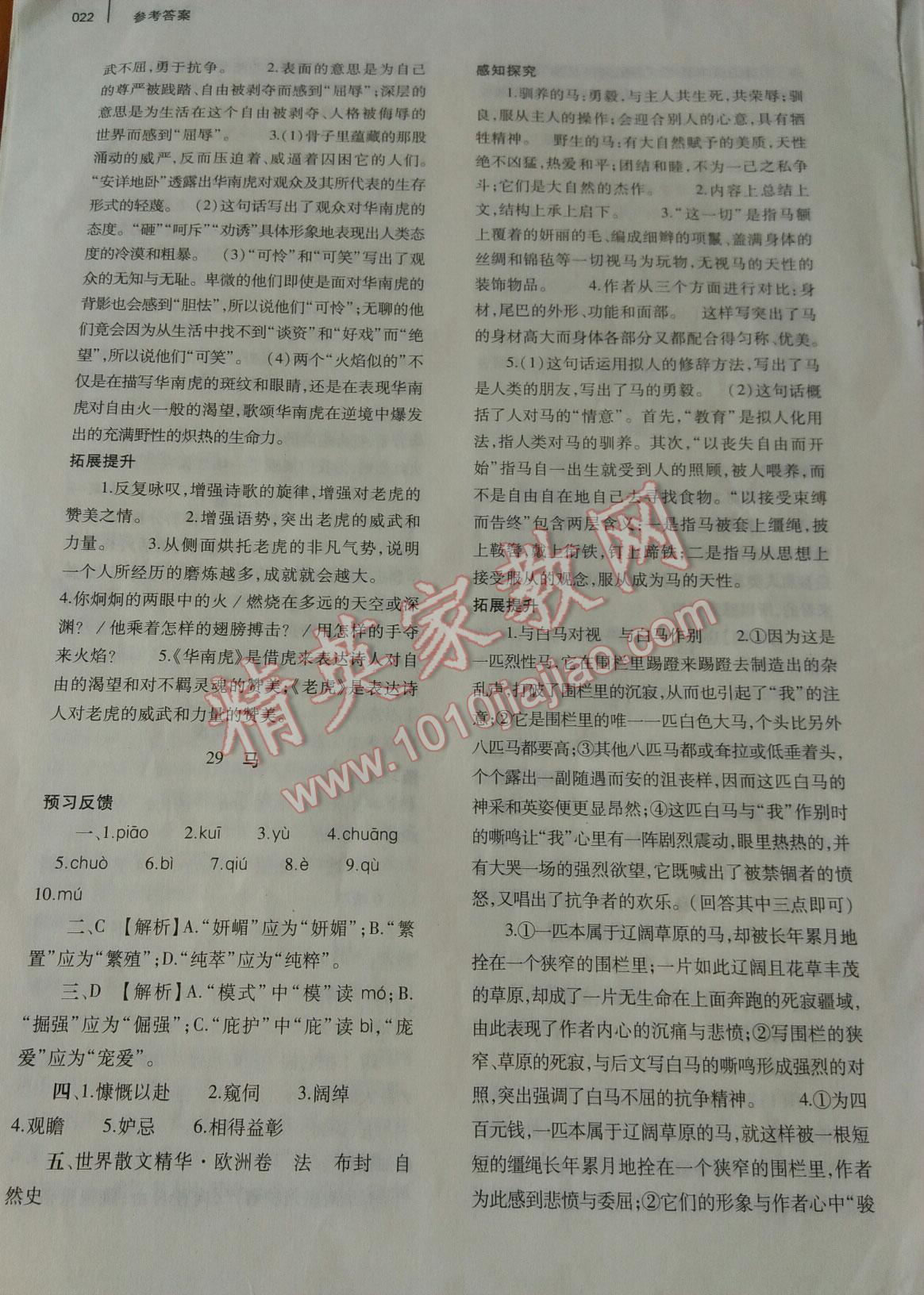 2015年基礎(chǔ)訓(xùn)練七年級(jí)語(yǔ)文下冊(cè)人教版僅限河南省使用大象出版社 第80頁(yè)