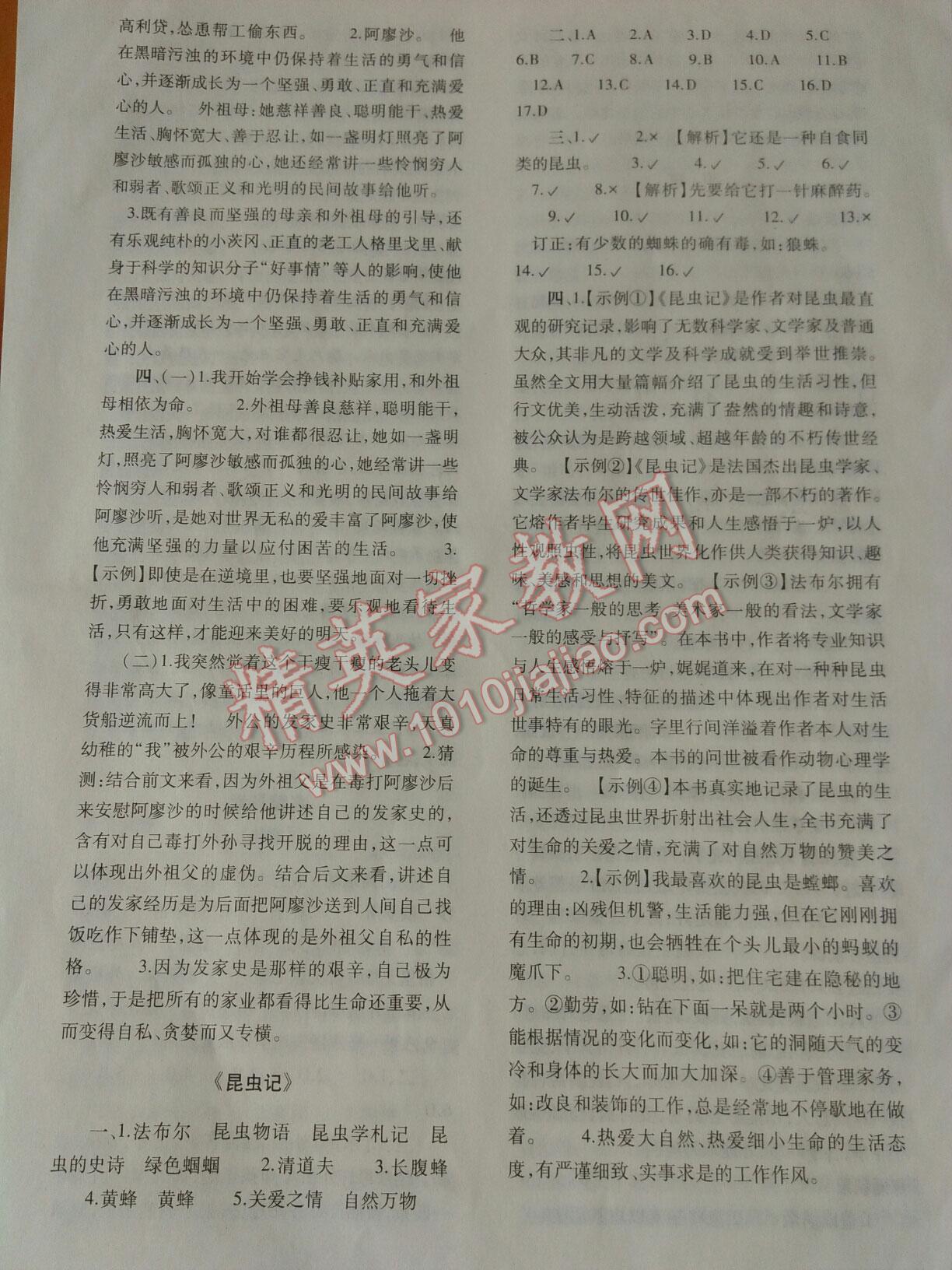 2015年基礎(chǔ)訓(xùn)練七年級(jí)語文下冊(cè)人教版僅限河南省使用大象出版社 第82頁