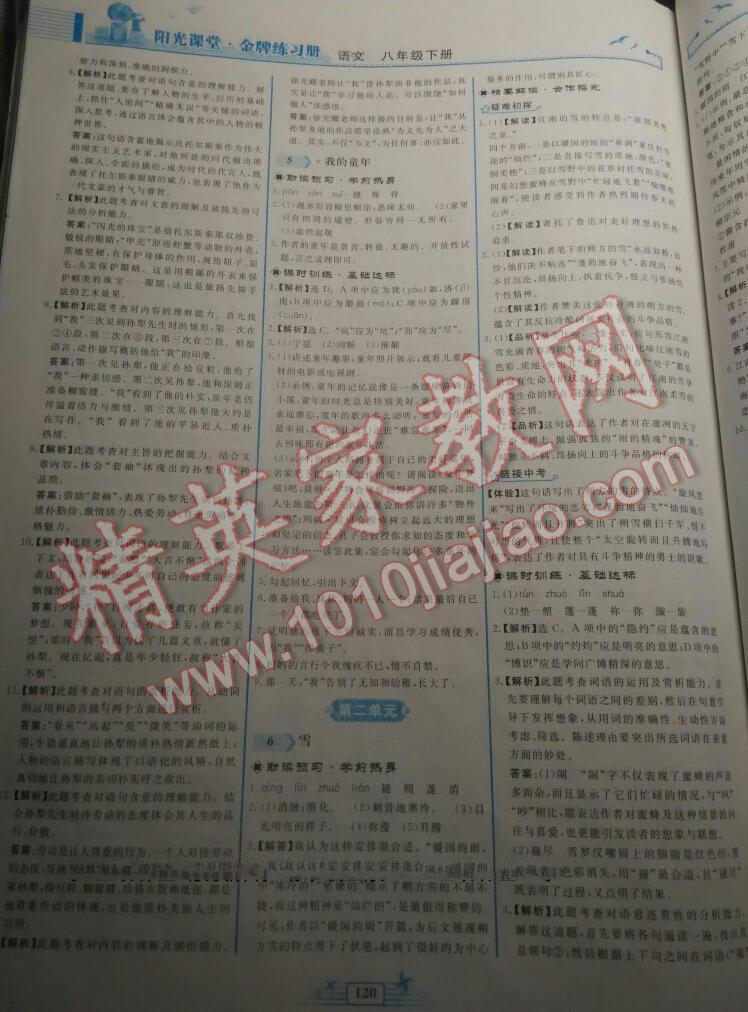 2015年阳光课堂金牌练习册八年级语文下册人教版 第119页