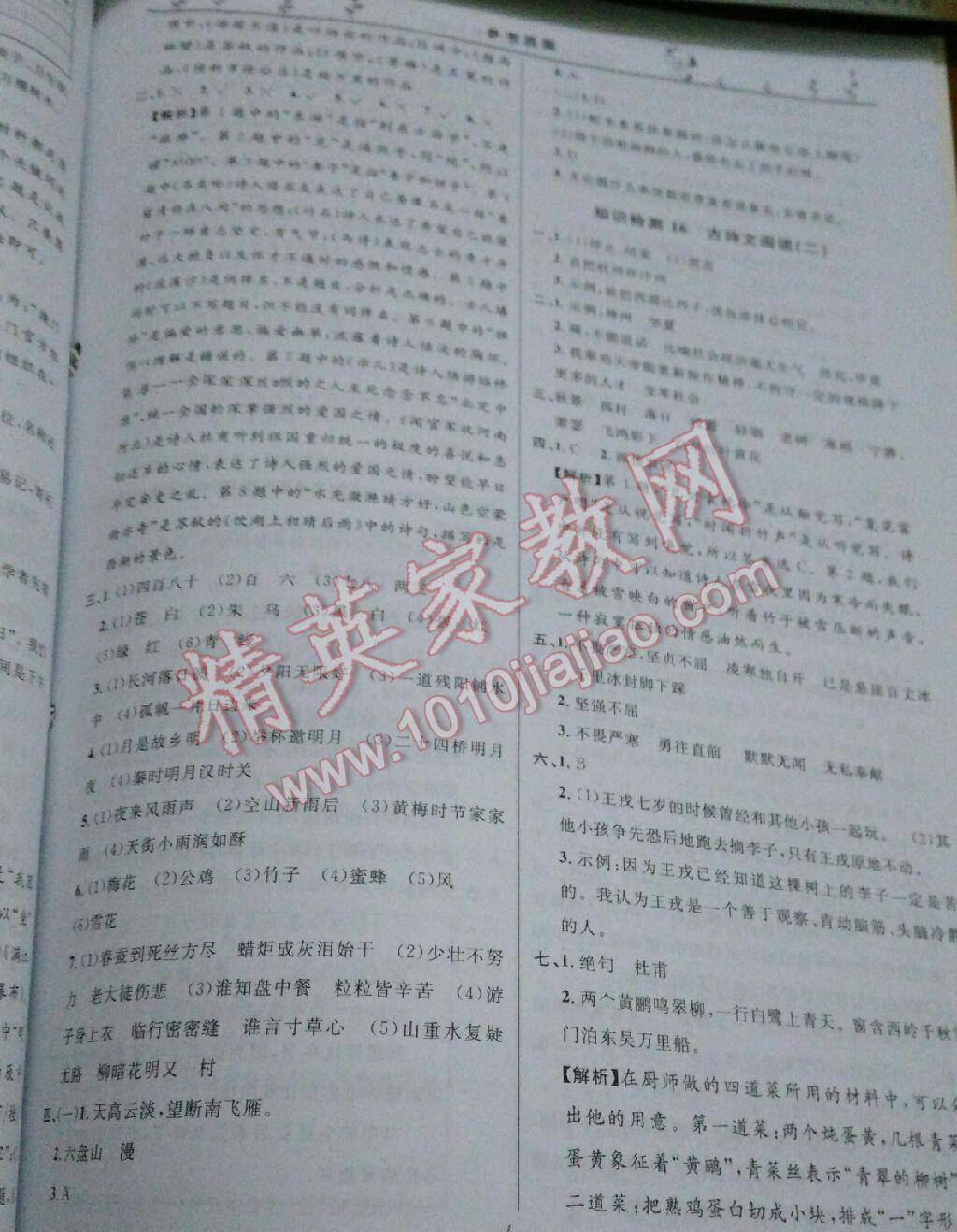 小学毕业升学系统总复习语文 第76页