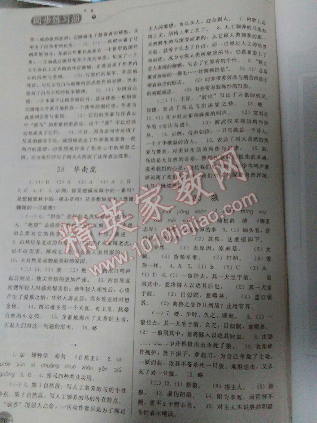 2016年同步练习册人民教育出版社七年级语文下册人教版 第142页