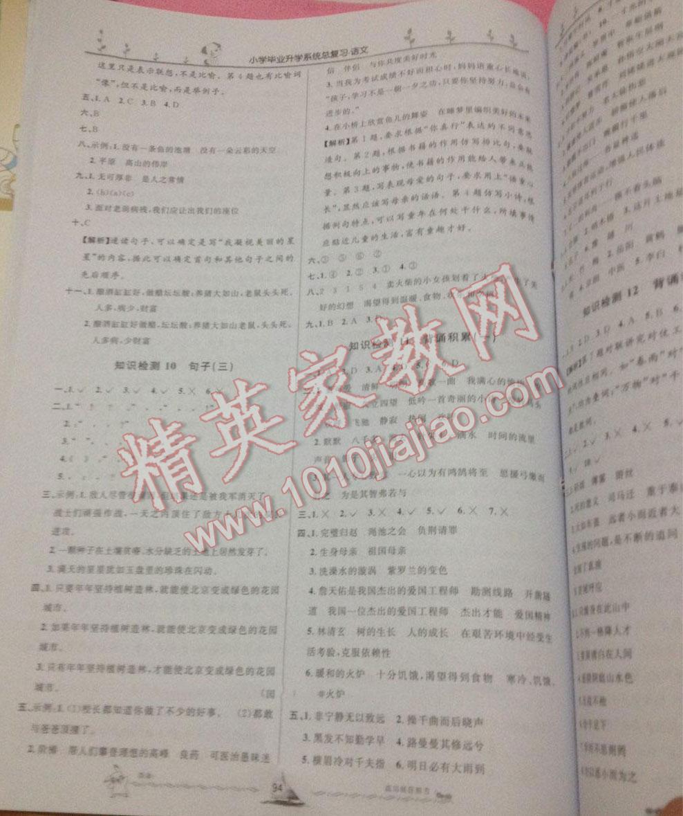 小学毕业升学系统总复习语文 第87页