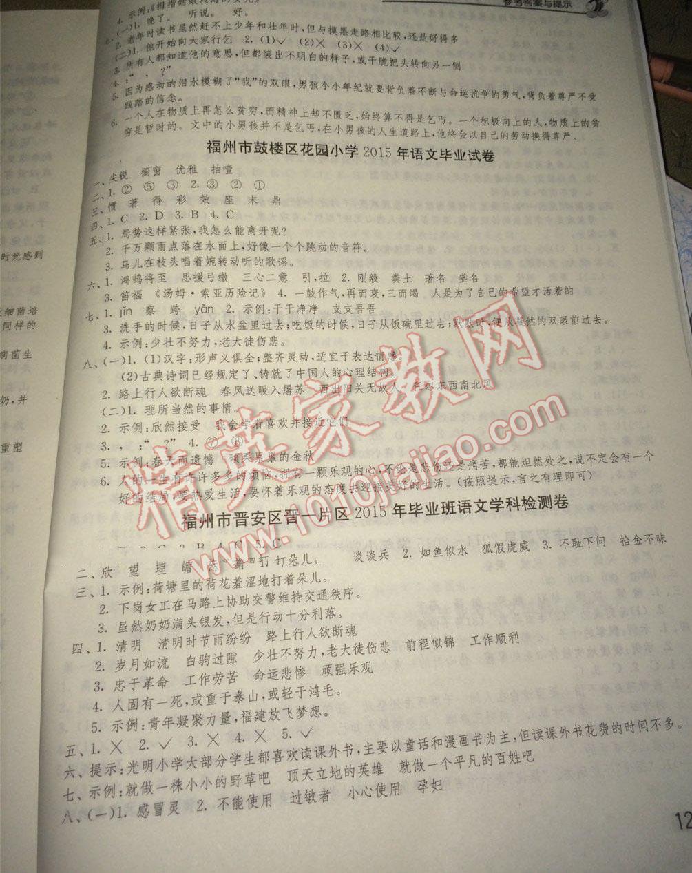 2015年福建省小学毕业升学考试试卷精选语文 第2页