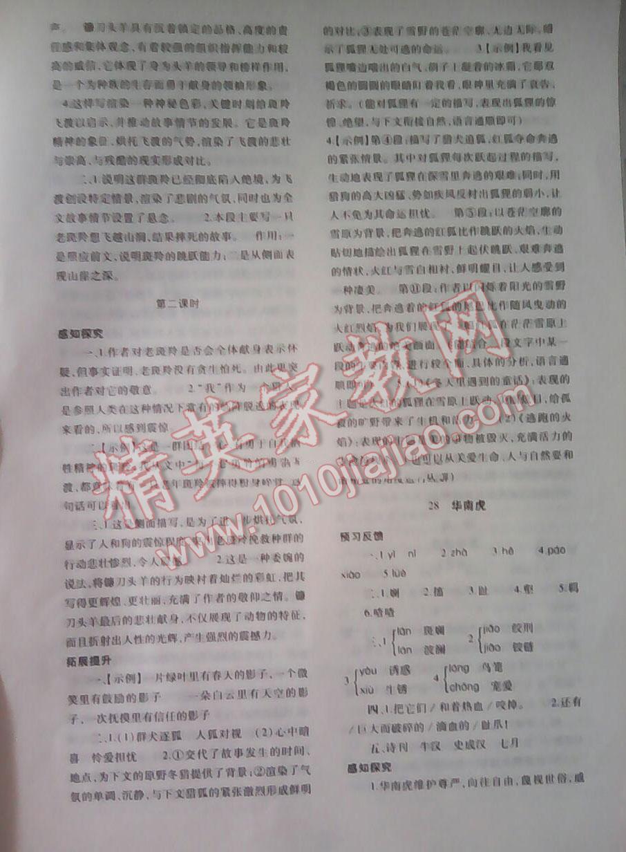 2015年基礎(chǔ)訓(xùn)練七年級(jí)語文下冊(cè)人教版僅限河南省使用大象出版社 第110頁