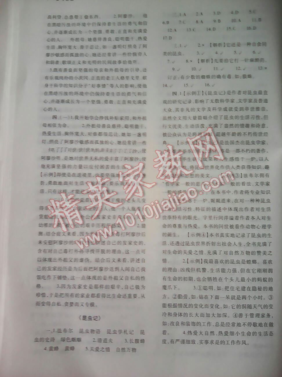 2015年基礎(chǔ)訓練七年級語文下冊人教版僅限河南省使用大象出版社 第113頁