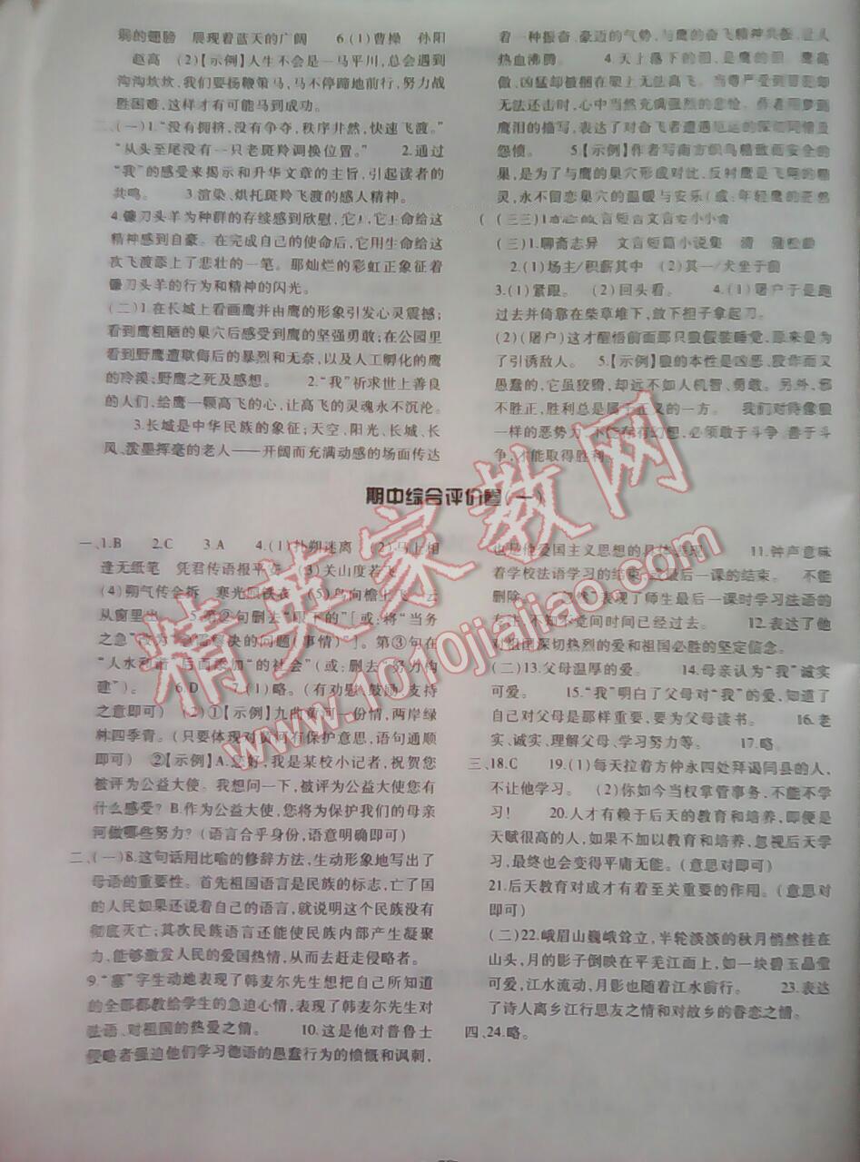 2015年基礎(chǔ)訓(xùn)練七年級語文下冊人教版僅限河南省使用大象出版社 第117頁