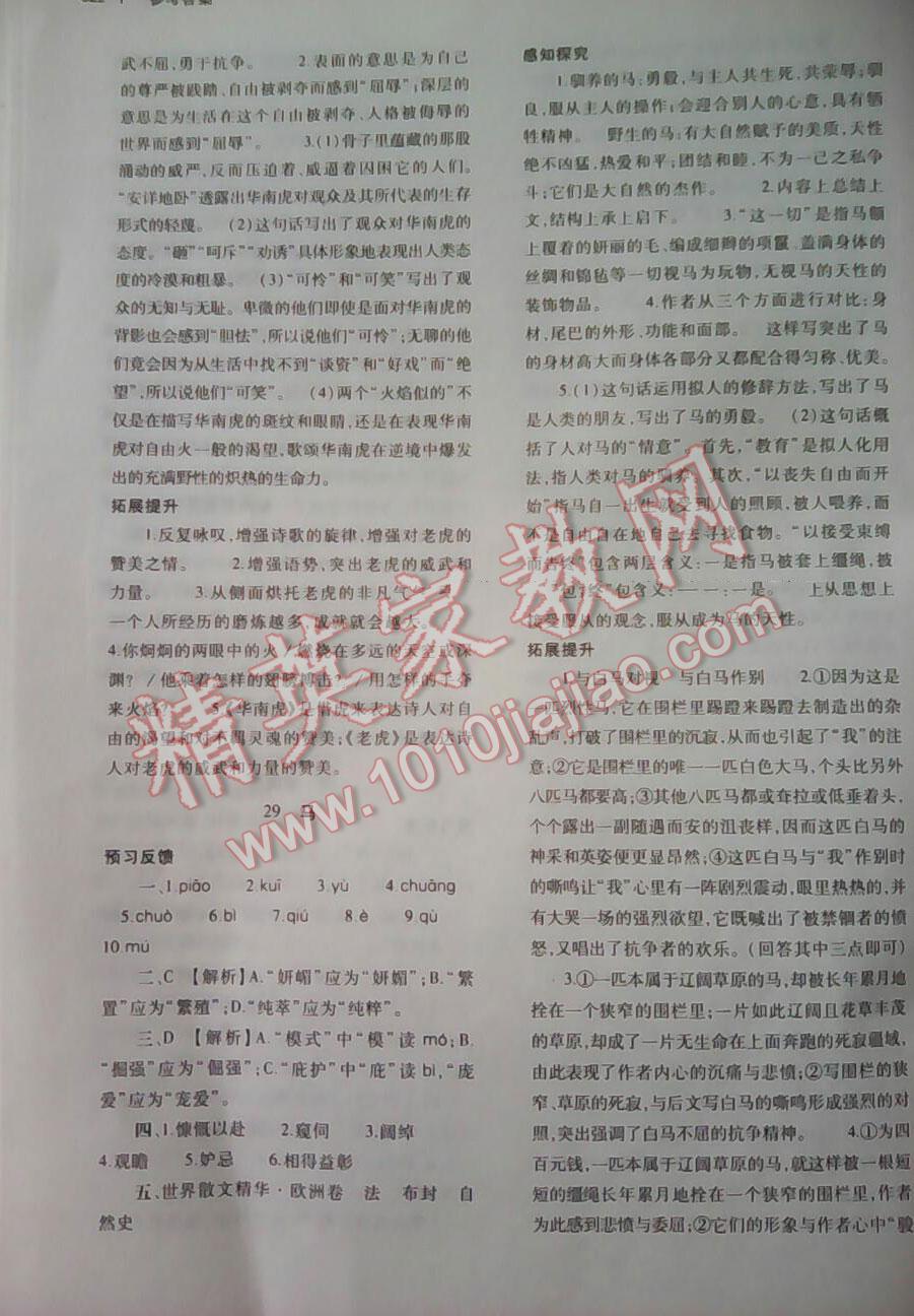 2015年基礎(chǔ)訓(xùn)練七年級語文下冊人教版僅限河南省使用大象出版社 第111頁