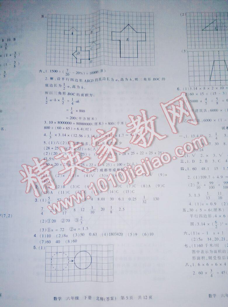 2016年王朝霞各地期末试卷精选六年级数学下册人教版九县七区 第5页