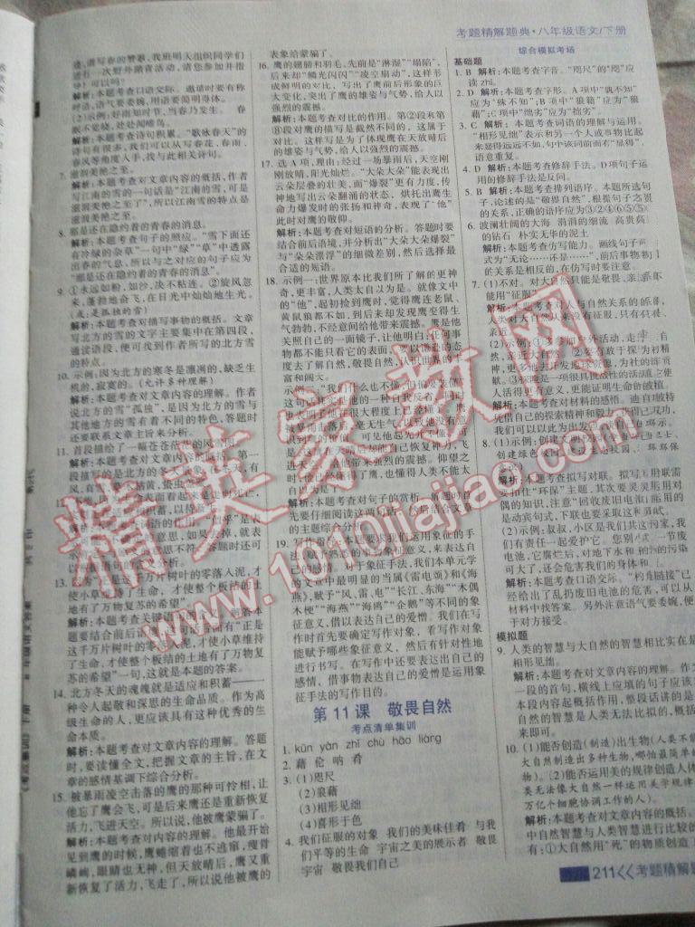 2016年考點(diǎn)集訓(xùn)與滿(mǎn)分備考八年級(jí)語(yǔ)文下冊(cè) 第41頁(yè)