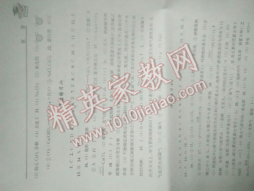 2014年初中復(fù)習(xí)與能力訓(xùn)練化學(xué) 第4頁