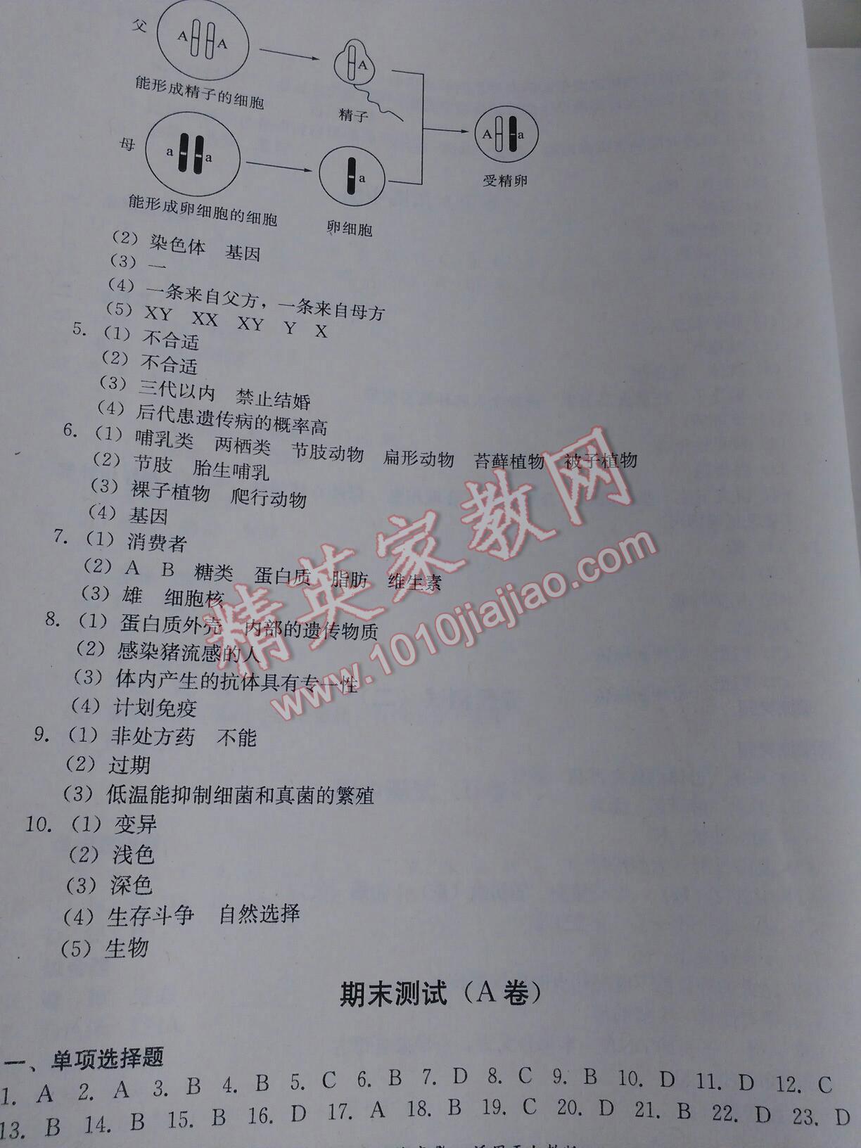 2016年單元測試八年級生物下冊人教版四川教育出版社 第7頁