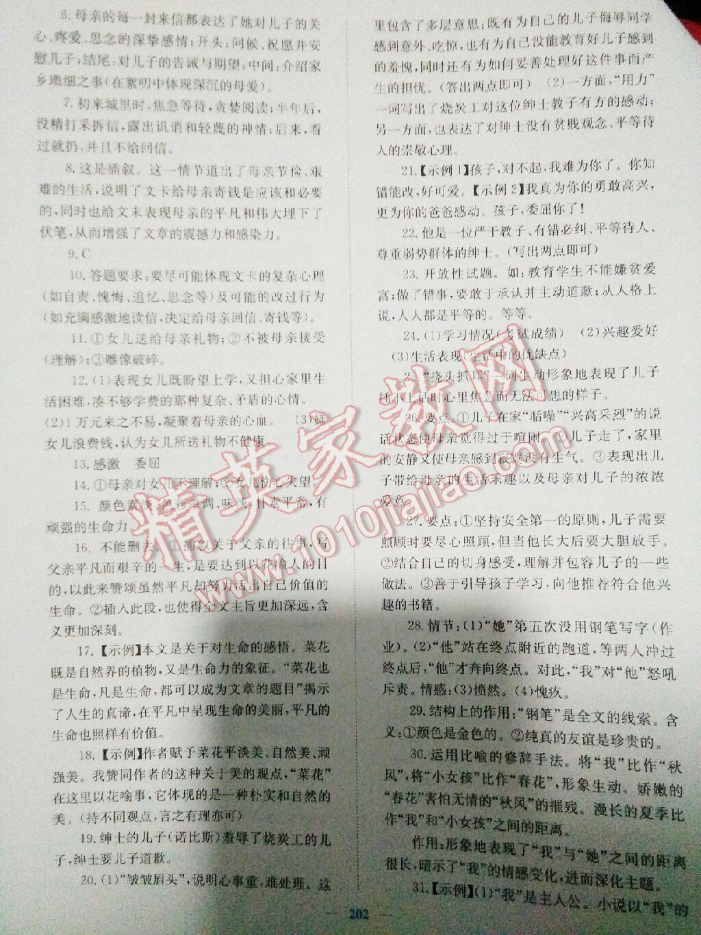 2016年新优化设计初中总复习语文 第23页