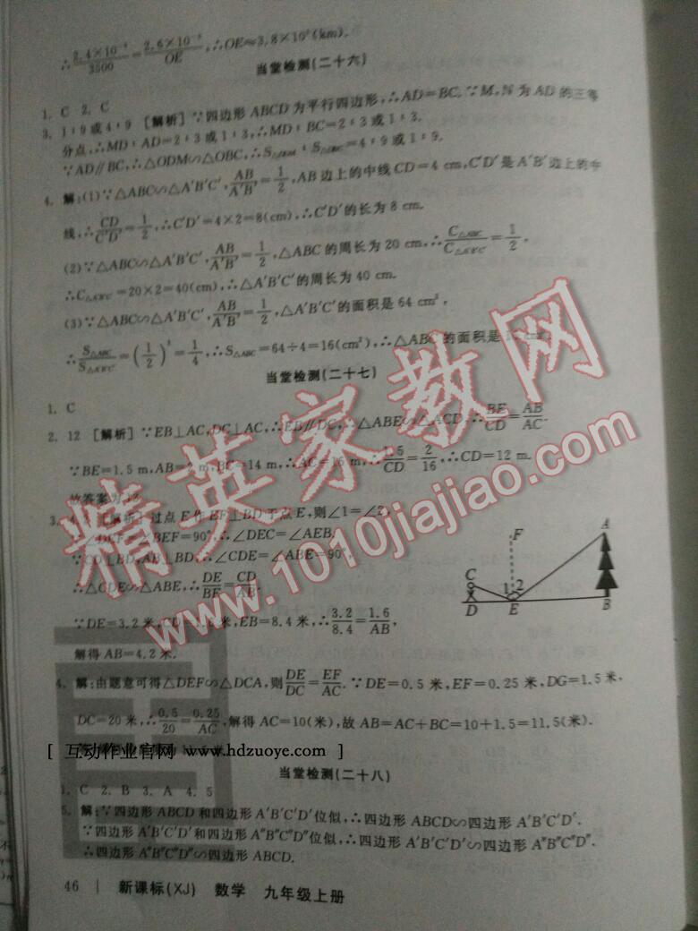 2016年全品学练考九年级数学上册北师大版 第20页