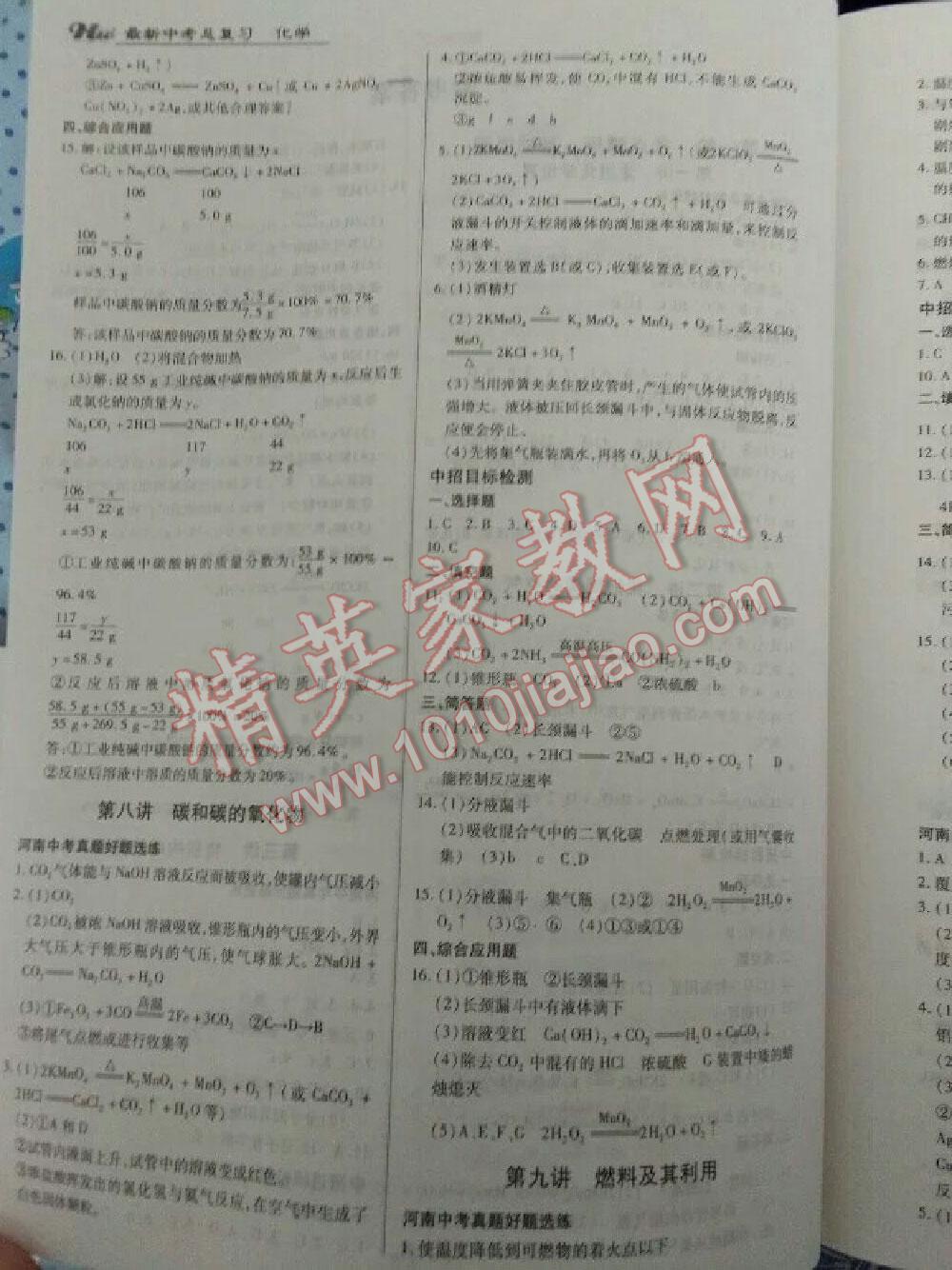 2016年河南最新中考總復(fù)習(xí)化學(xué)課標(biāo)版 第2頁