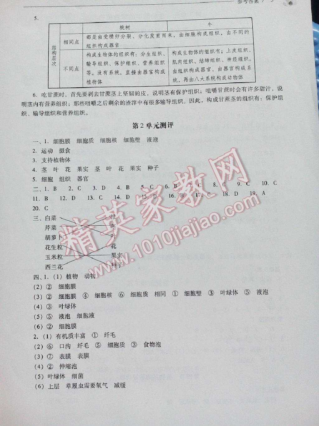 2015年新課程問(wèn)題解決導(dǎo)學(xué)方案七年級(jí)生物學(xué)上冊(cè)鳳凰版 第10頁(yè)