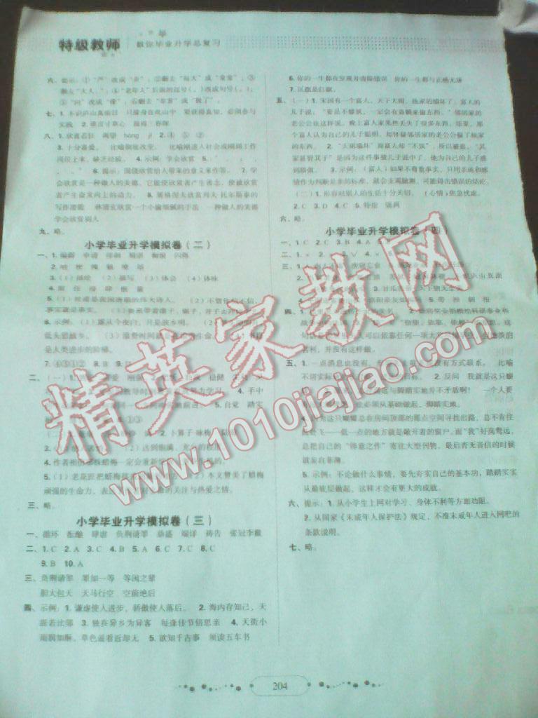 2016年特级教师小学毕业升学系统总复习语文 第16页