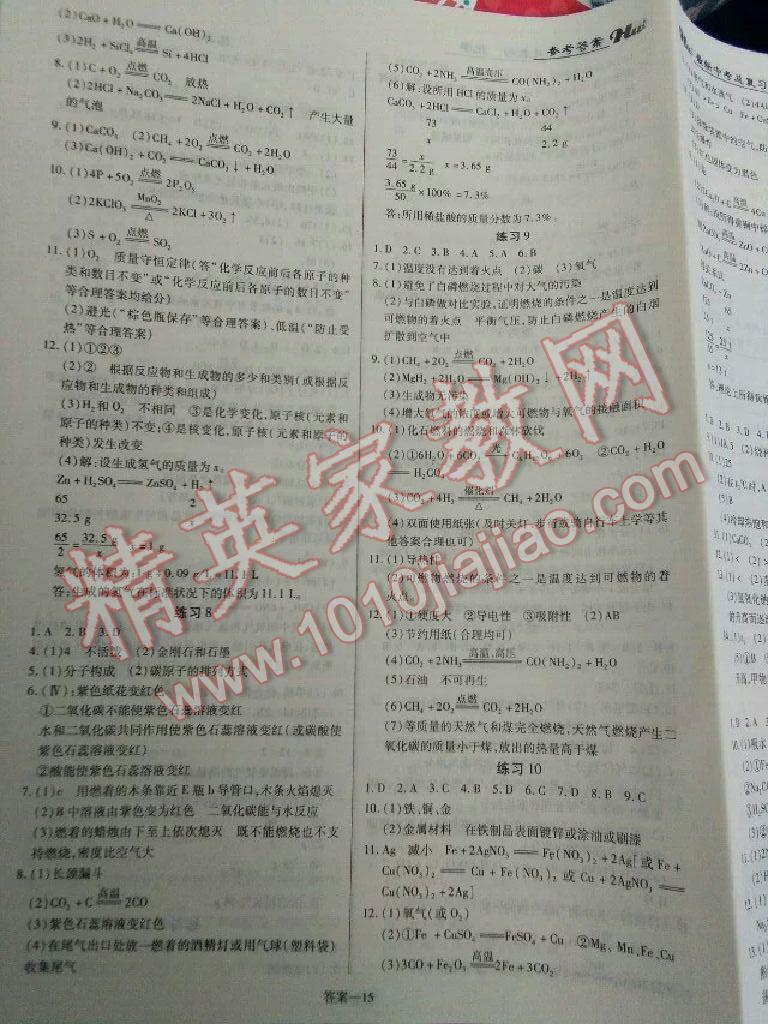 2016年河南最新中考总复习化学课标版 第15页