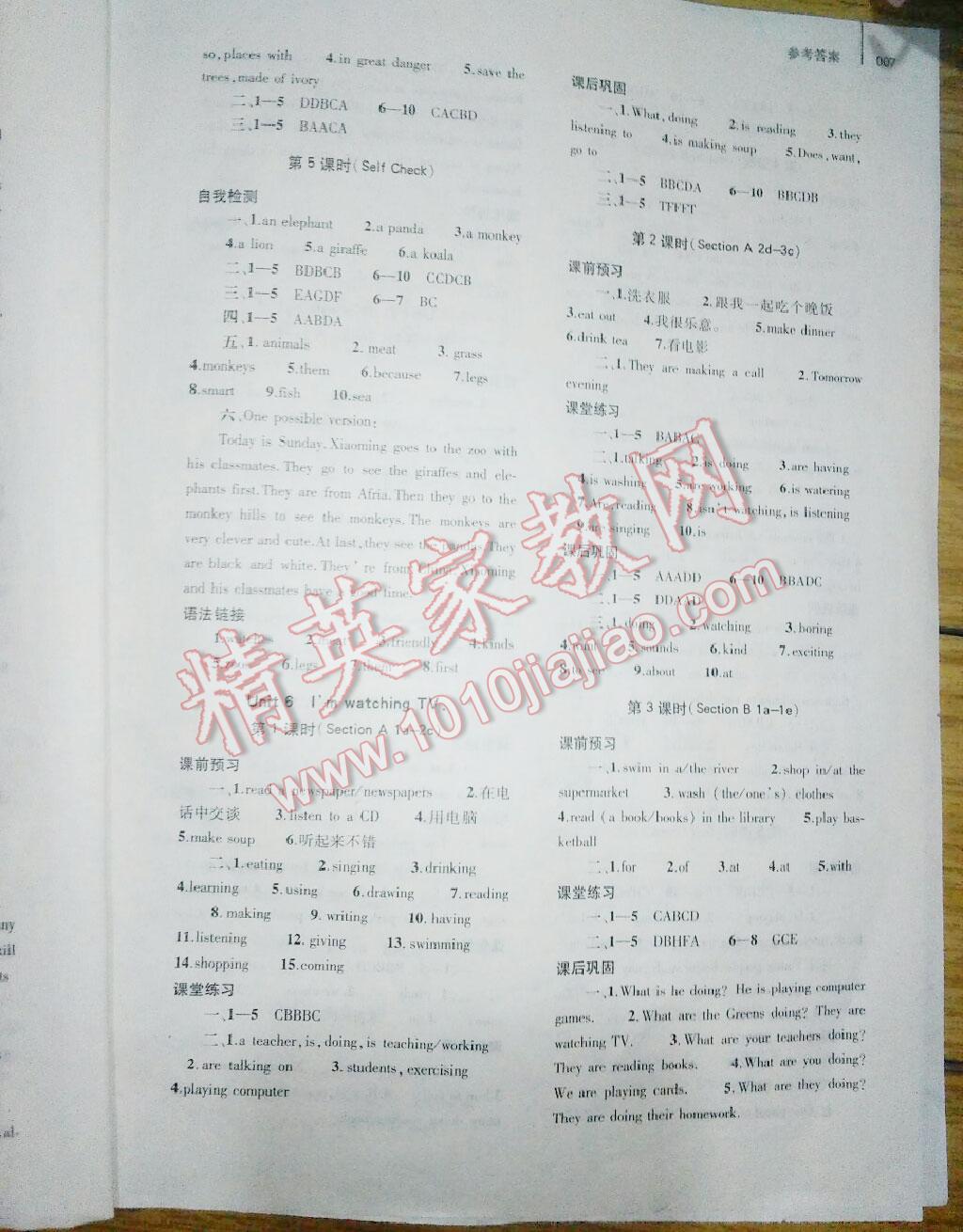 2016年基礎(chǔ)訓(xùn)練七年級英語下冊人教版僅限河南省內(nèi)使用大象出版社 第42頁