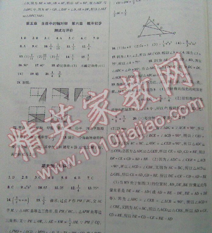 2016年新課程同步學案七年級數(shù)學下冊北師大版 第41頁