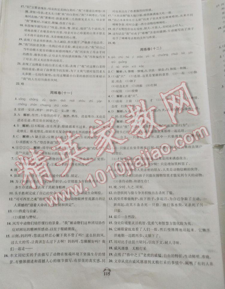 2015年輕松29套陽(yáng)光奪冠七年級(jí)語(yǔ)文下冊(cè)人教版 第15頁(yè)