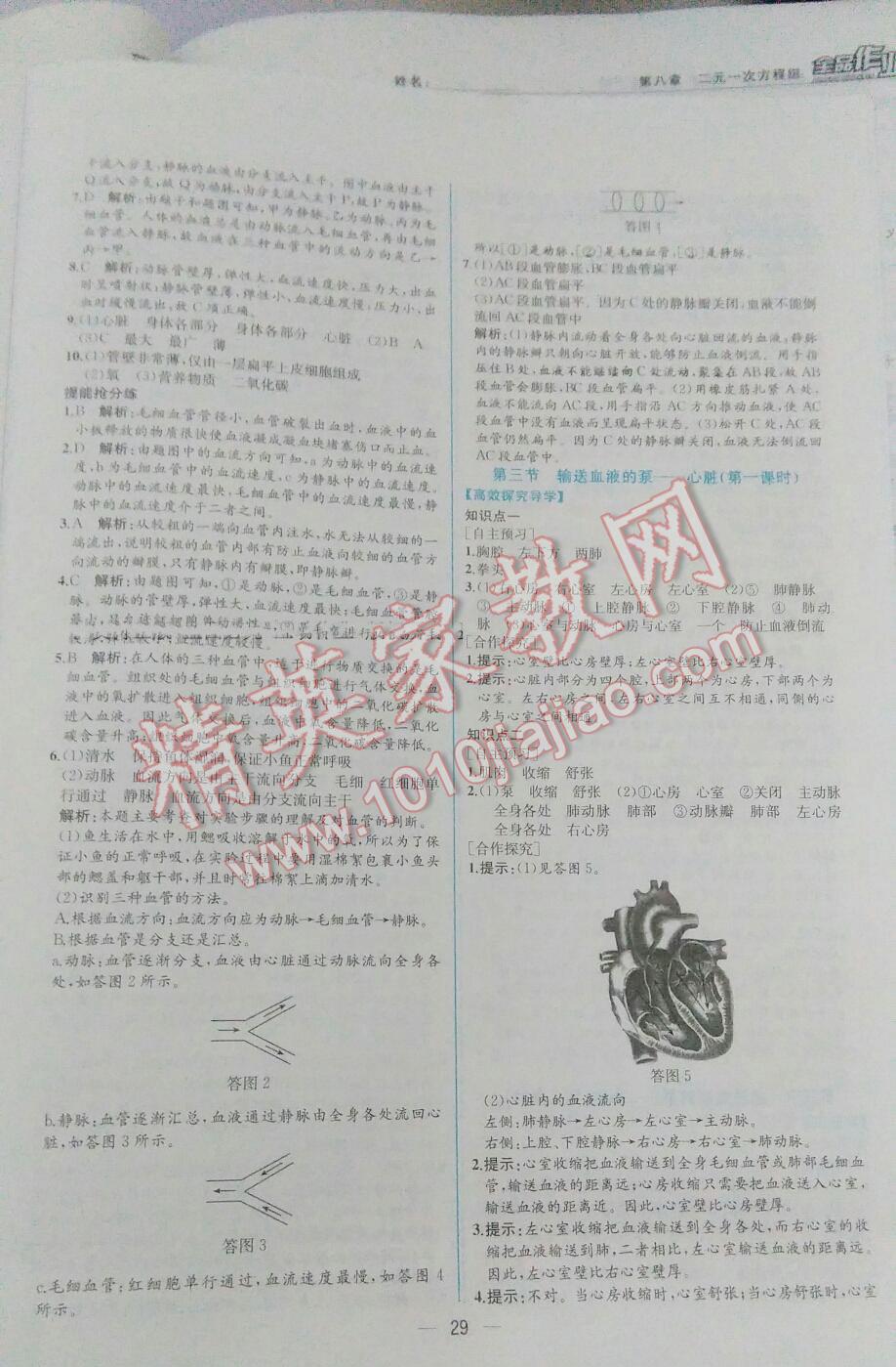 2016年同步導(dǎo)學(xué)案課時(shí)練七年級生物學(xué)下冊人教版 第45頁